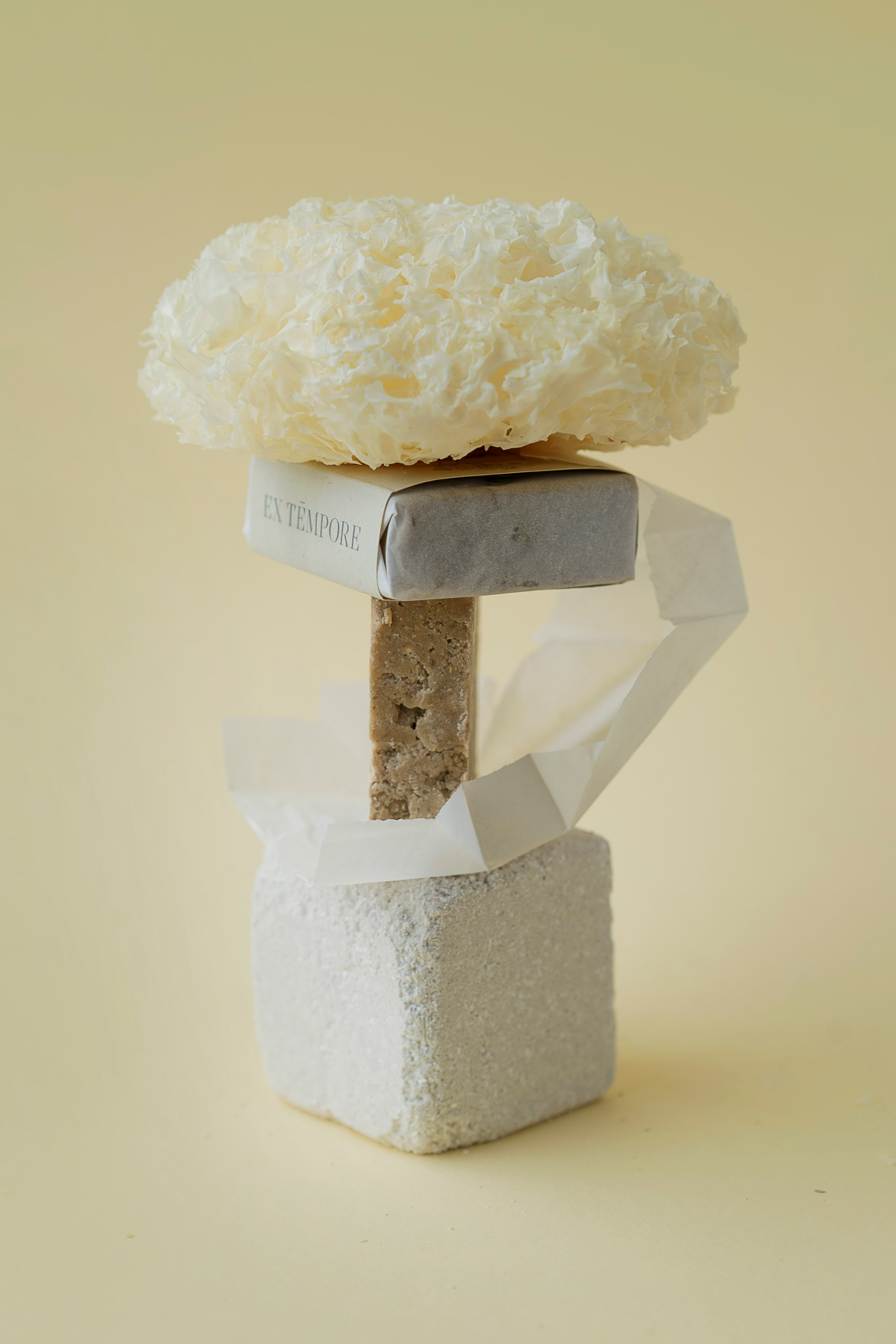 ORGANIC BEAUTY. Сocoobird || Атмосфера твоего бренда в снимках и видео