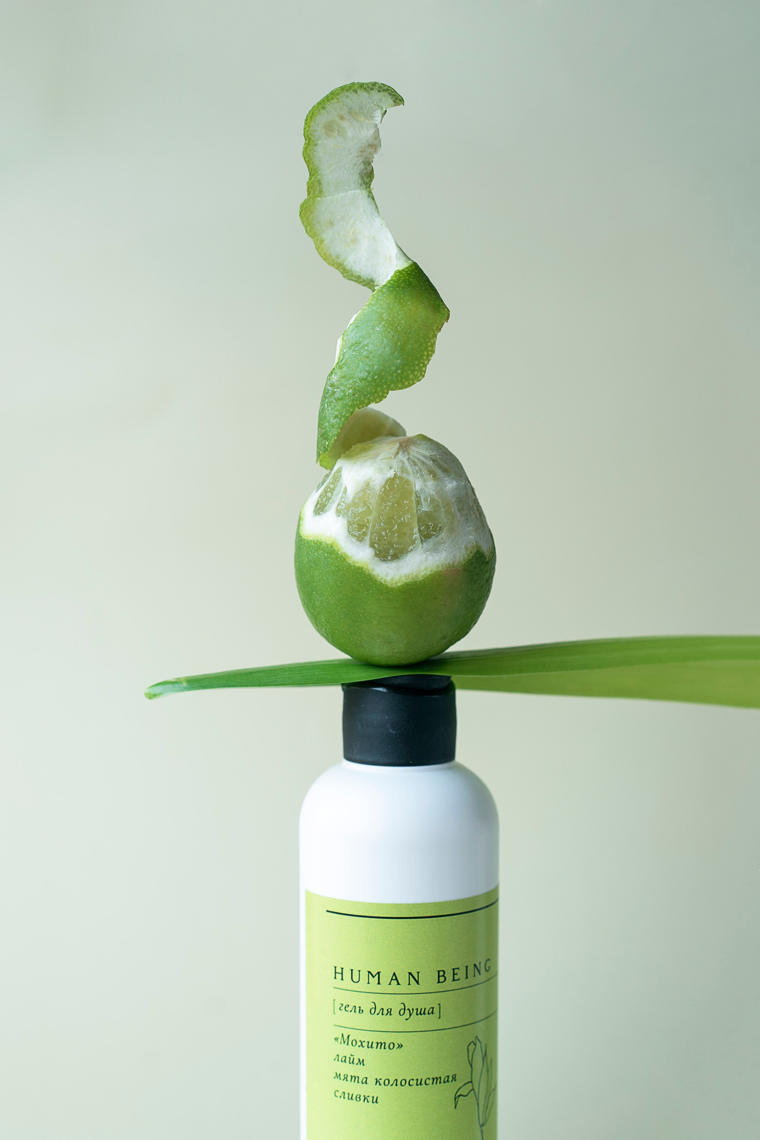 ORGANIC BEAUTY. Сocoobird || Атмосфера твоего бренда в снимках и видео