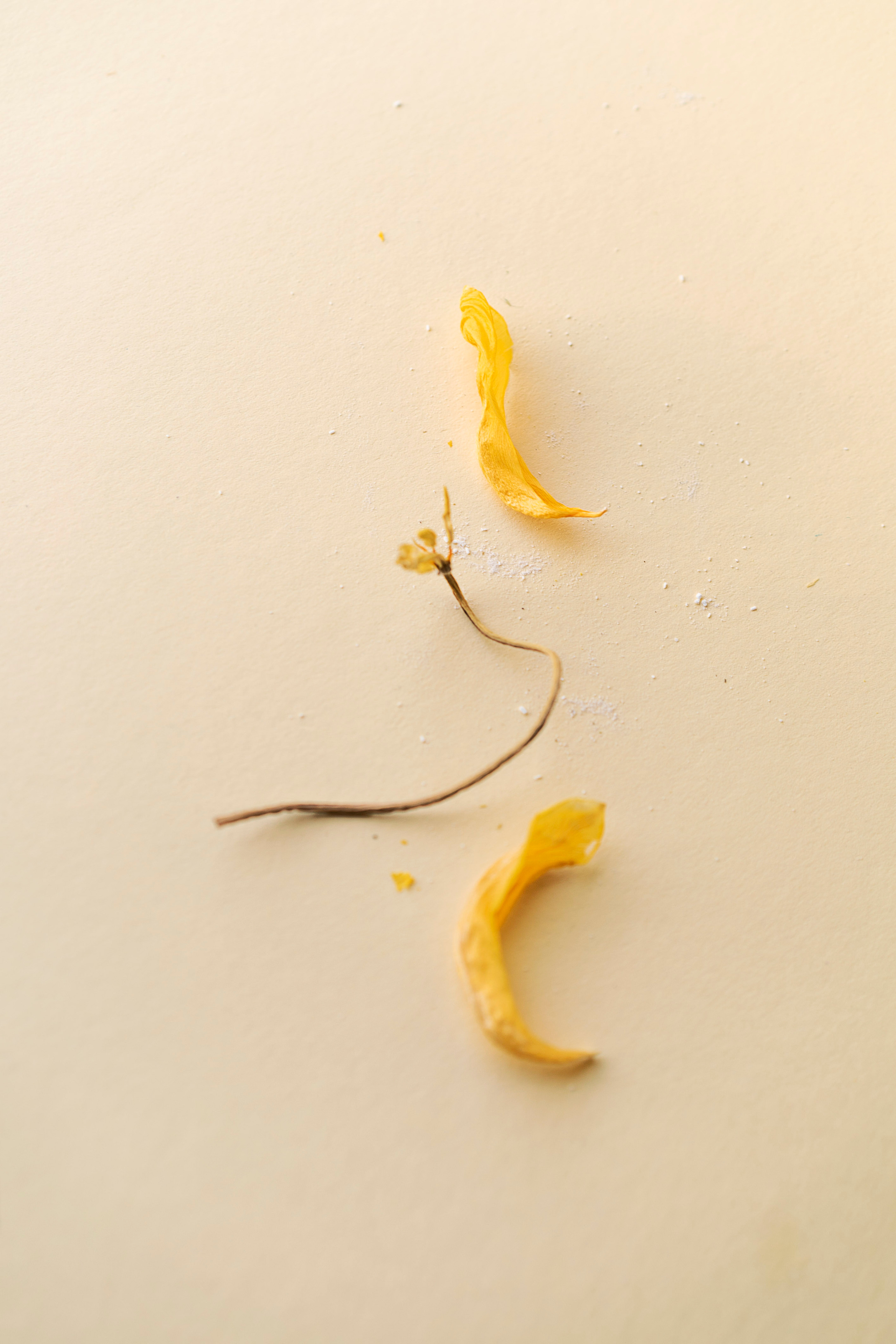 ORGANIC BEAUTY. Сocoobird || Атмосфера твоего бренда в снимках и видео