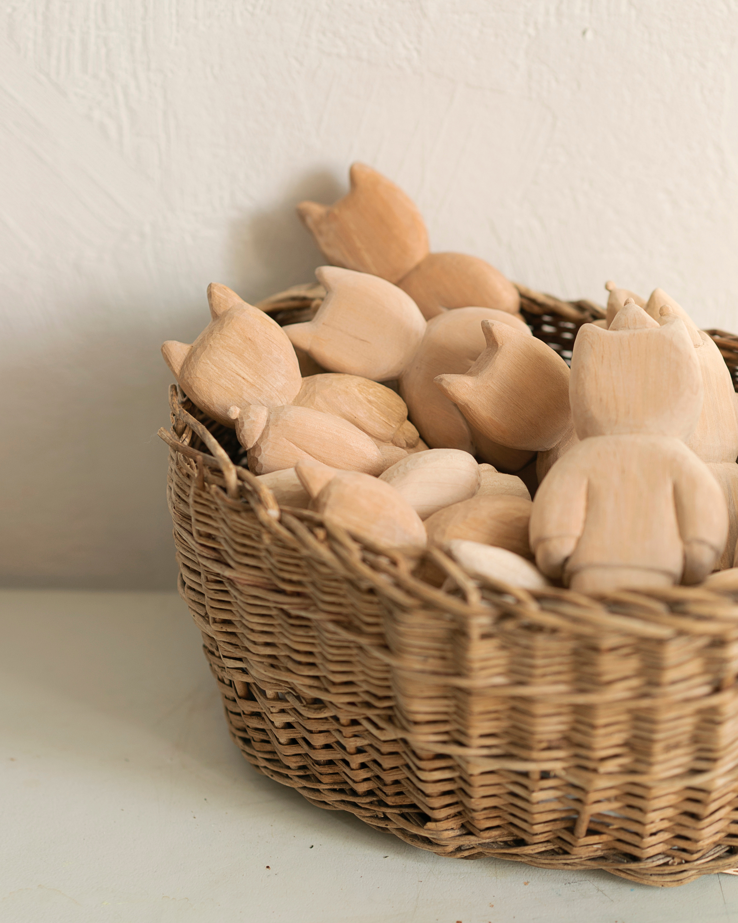 FAN FAN TOYS. Сocoobird || Атмосфера твоего бренда в снимках и видео