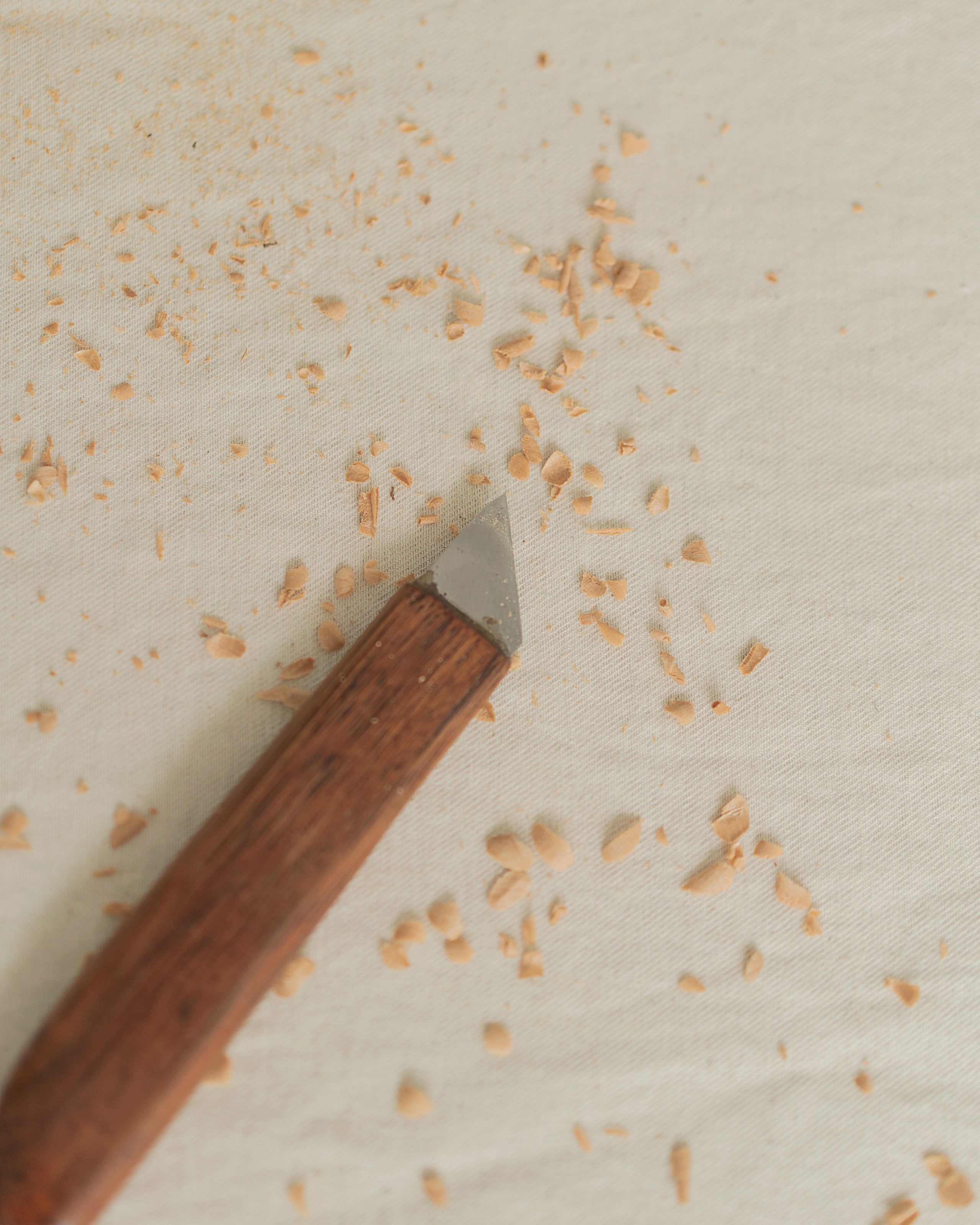 FAN FAN TOYS. Сocoobird || Атмосфера твоего бренда в снимках и видео