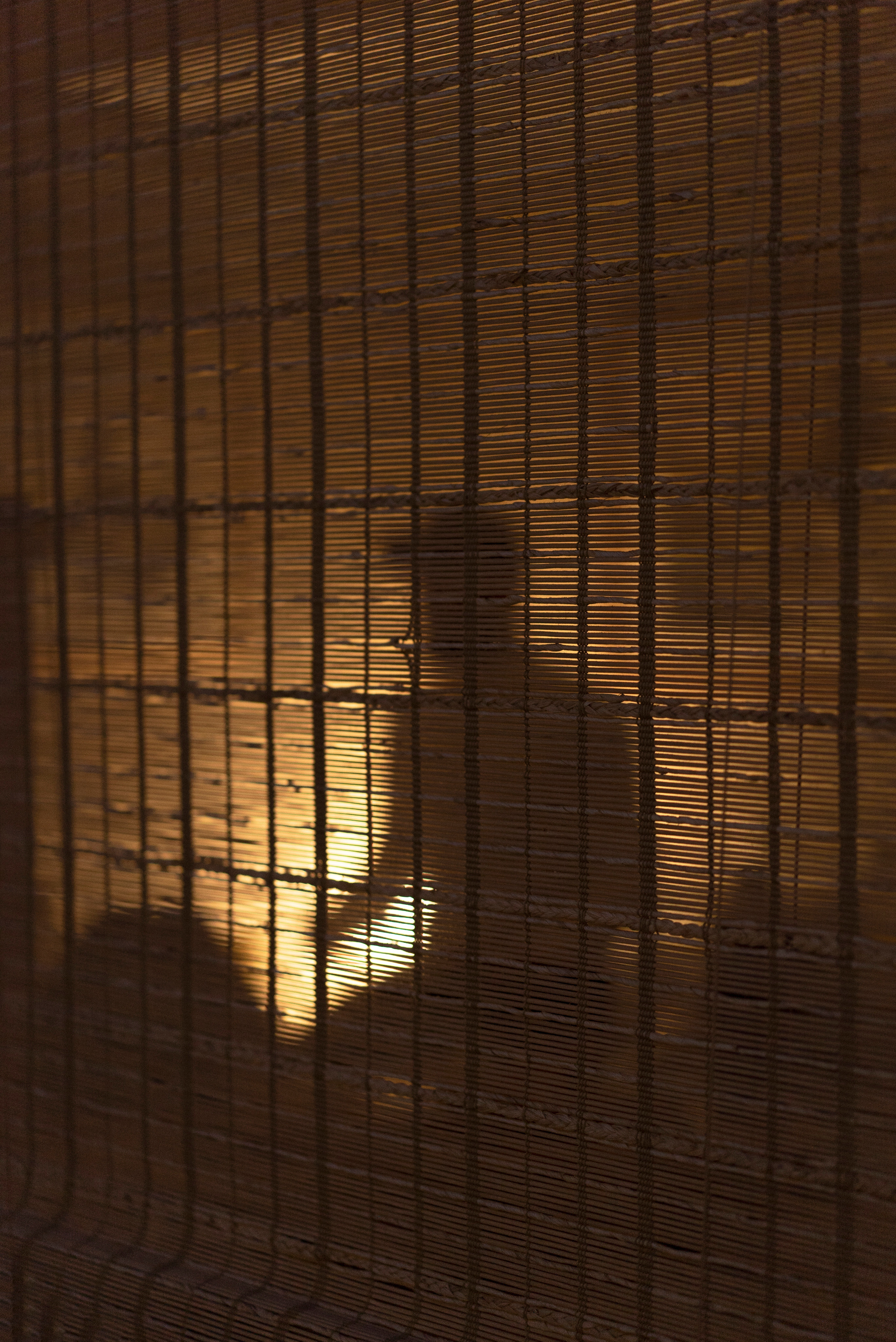 TEA MOMENTS. Сocoobird || Атмосфера твоего бренда в снимках и видео