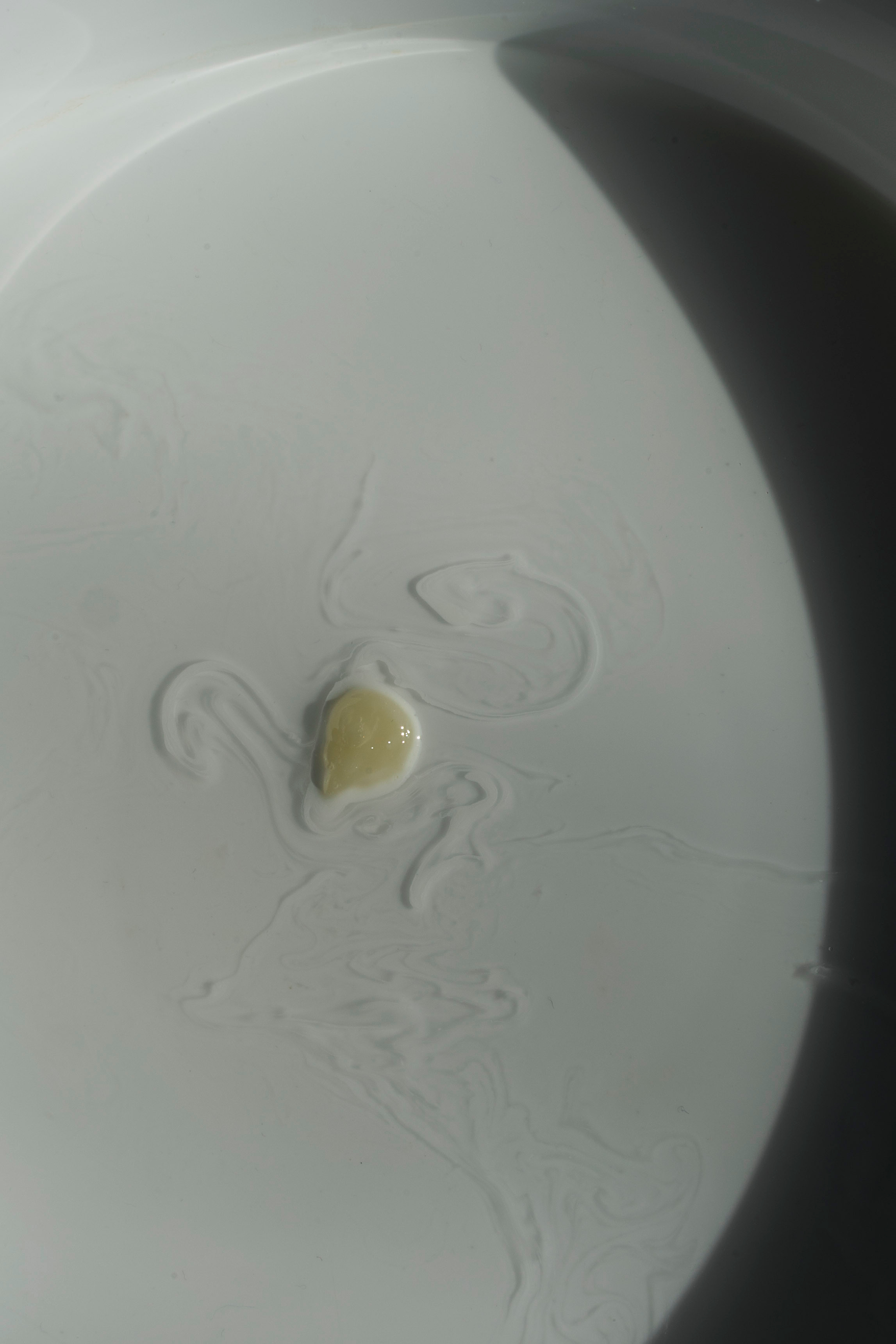 ORGANIC BEAUTY. Сocoobird || Атмосфера твоего бренда в снимках и видео