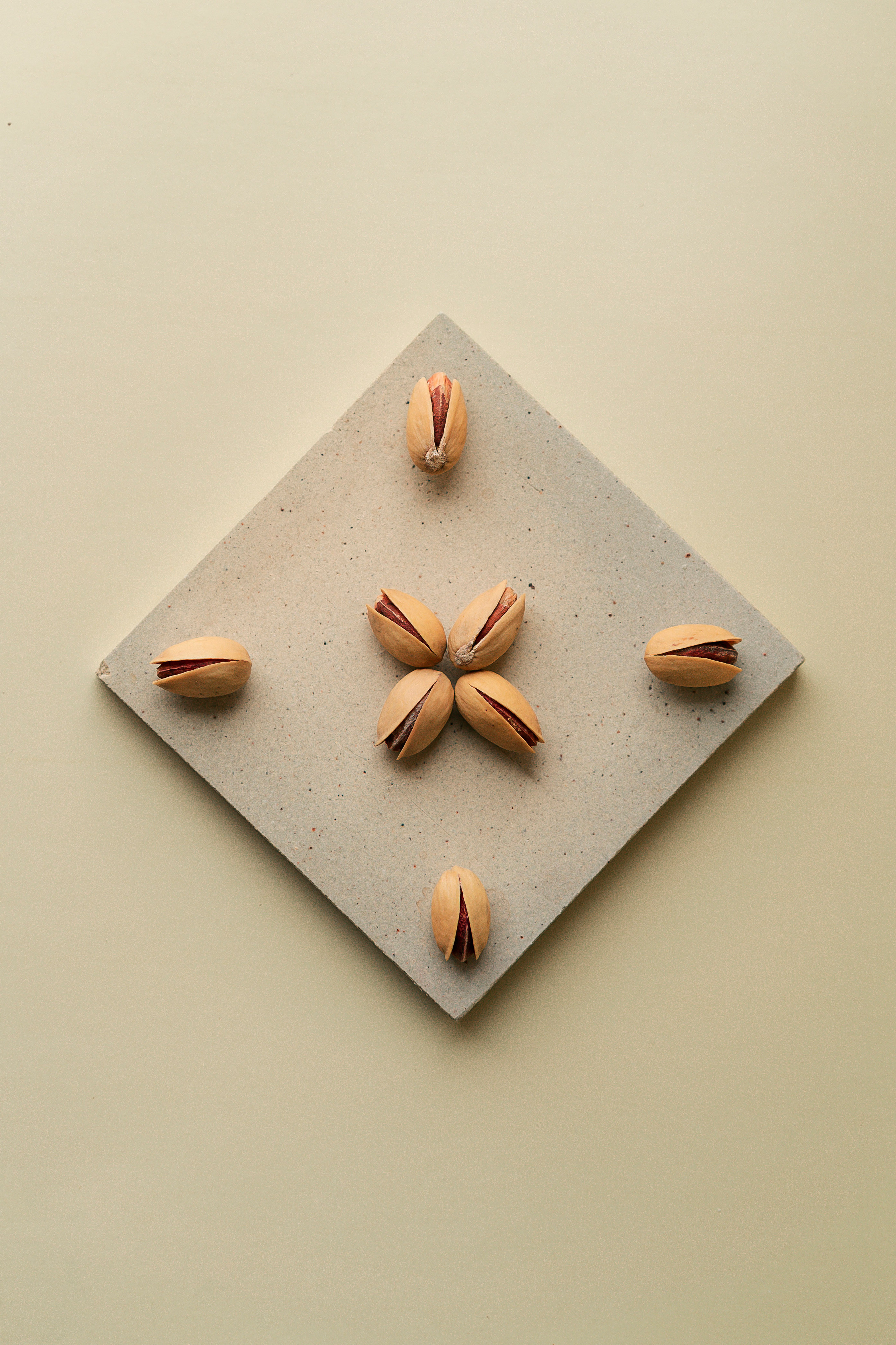 Сocoobird || Атмосфера твоего бренда в снимках и видео