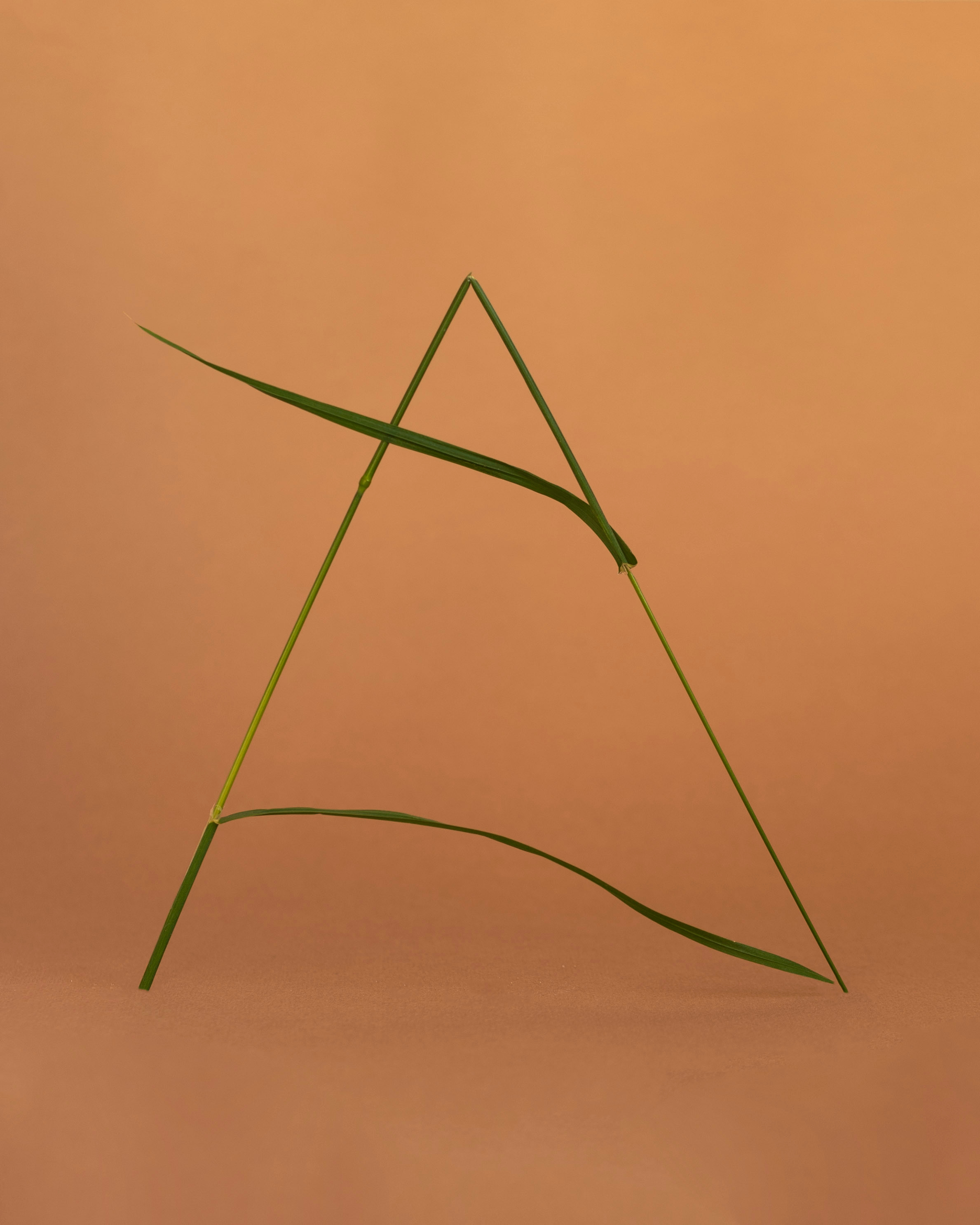 ORGANIC BEAUTY. Сocoobird || Атмосфера твоего бренда в снимках и видео