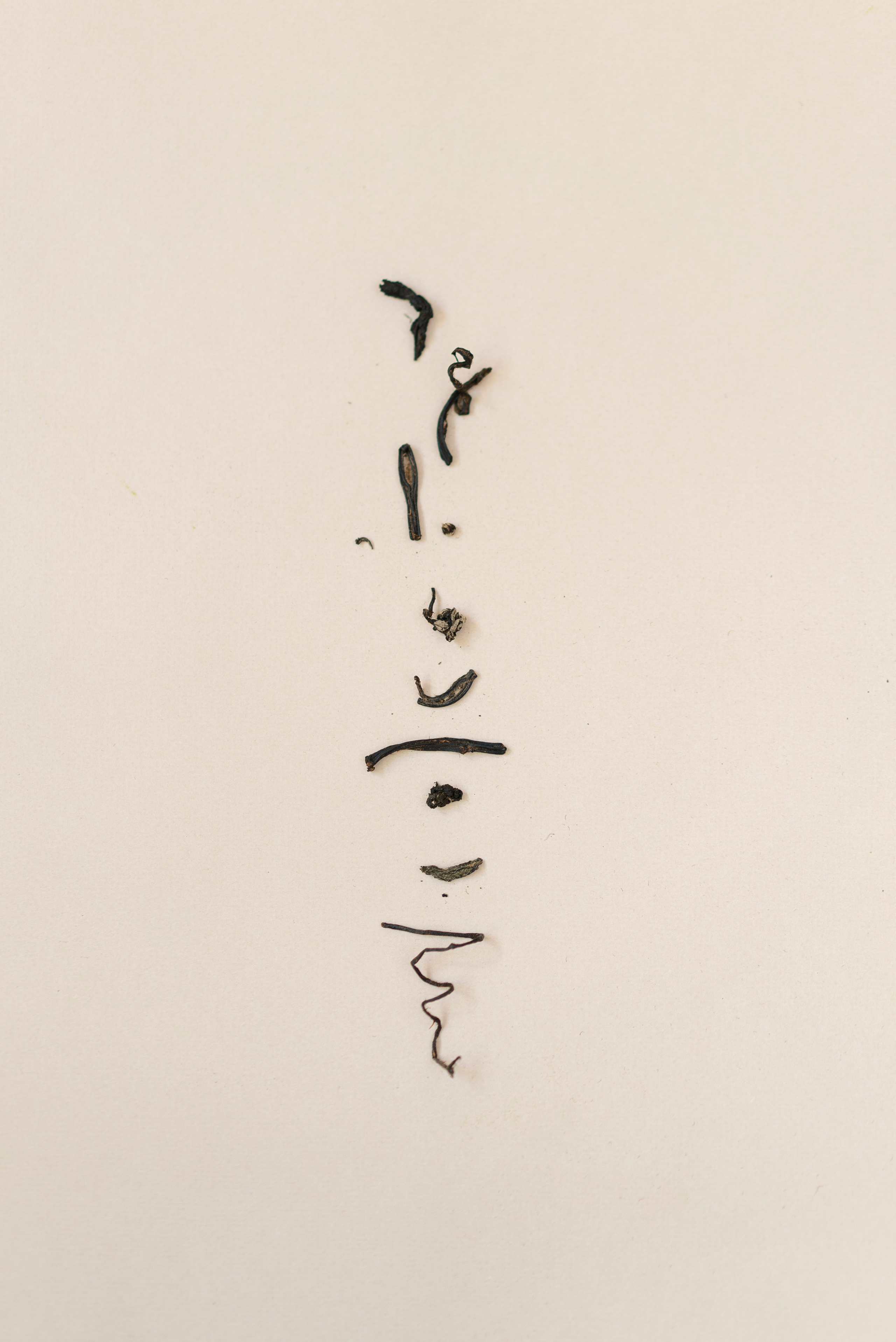 Сocoobird || Атмосфера твоего бренда в снимках и видео