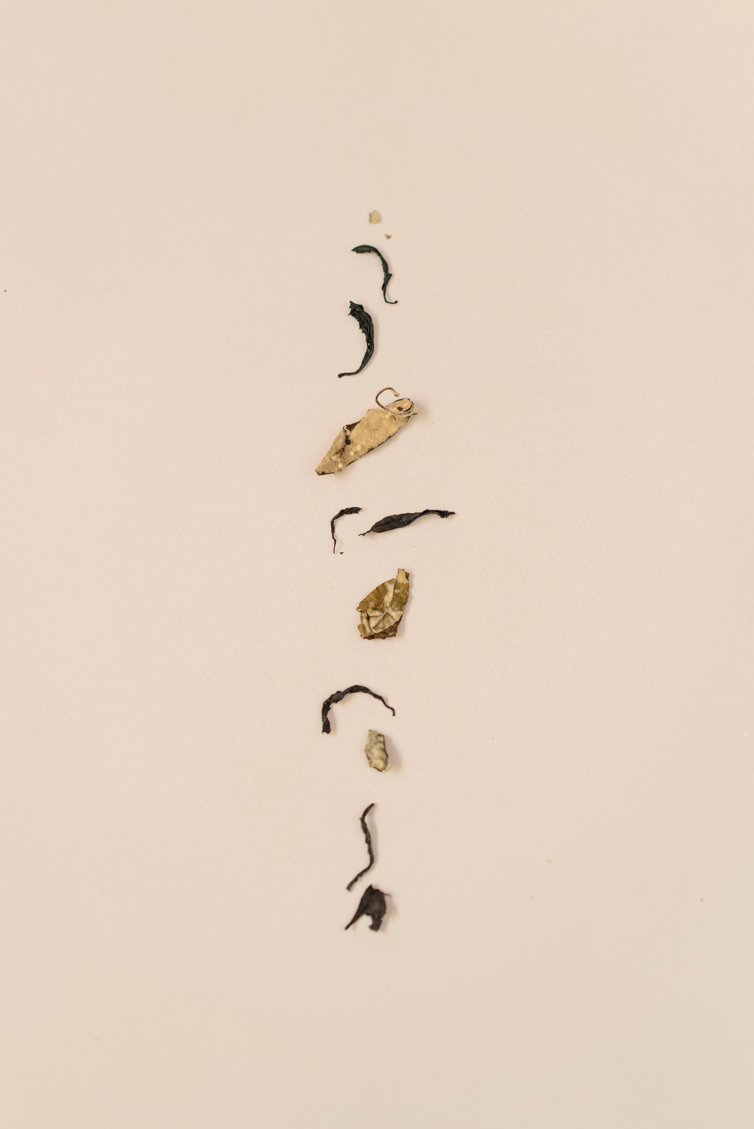 TEA MOMENTS. Сocoobird || Атмосфера твоего бренда в снимках и видео