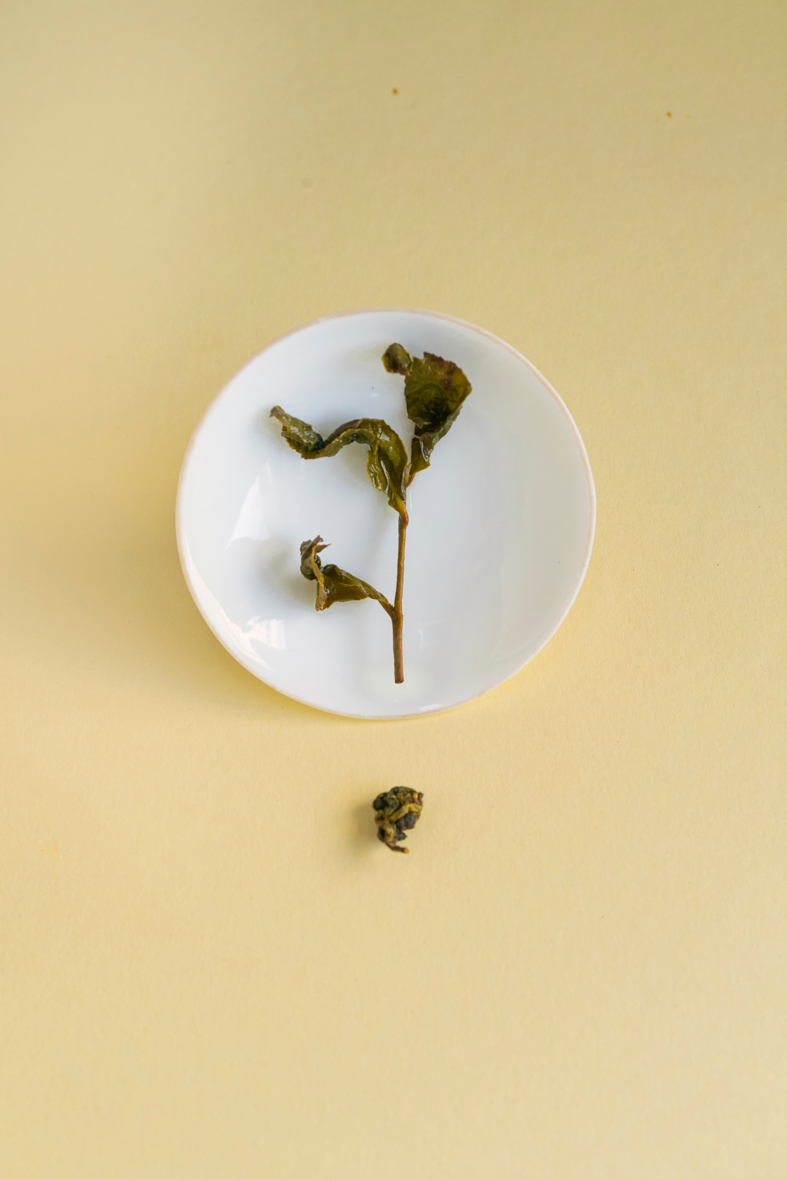 TEA MOMENTS. Сocoobird || Атмосфера твоего бренда в снимках и видео