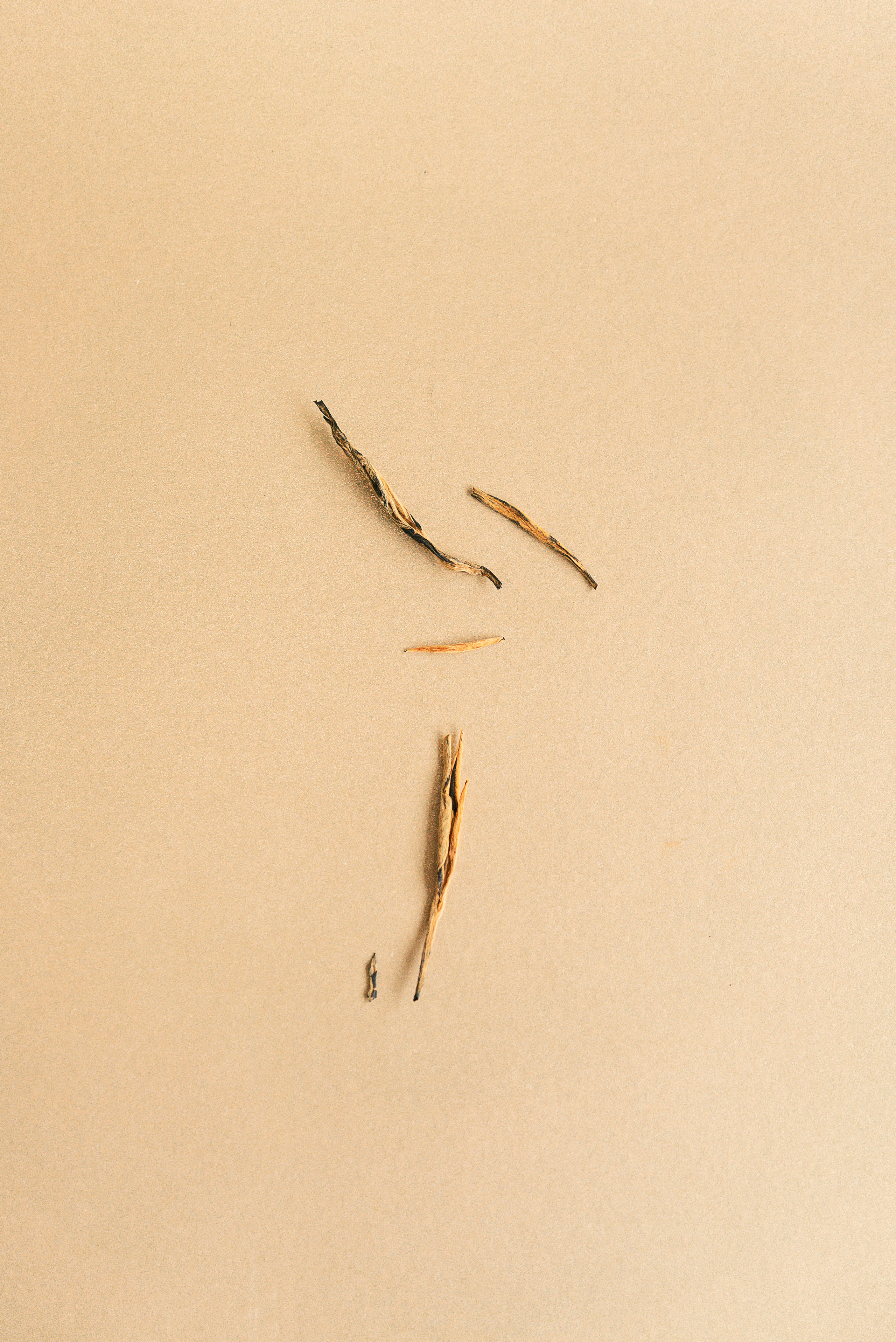 TEA MOMENTS. Сocoobird || Атмосфера твоего бренда в снимках и видео