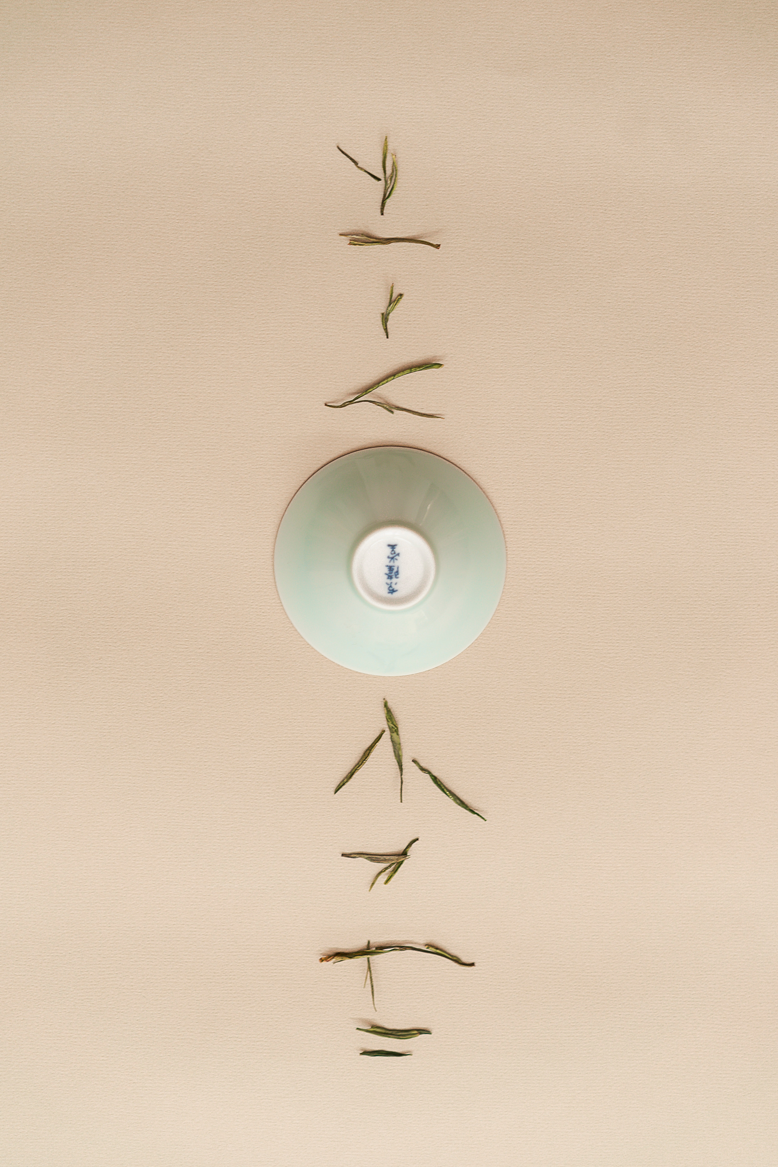 TEA MOMENTS. Сocoobird || Атмосфера твоего бренда в снимках и видео