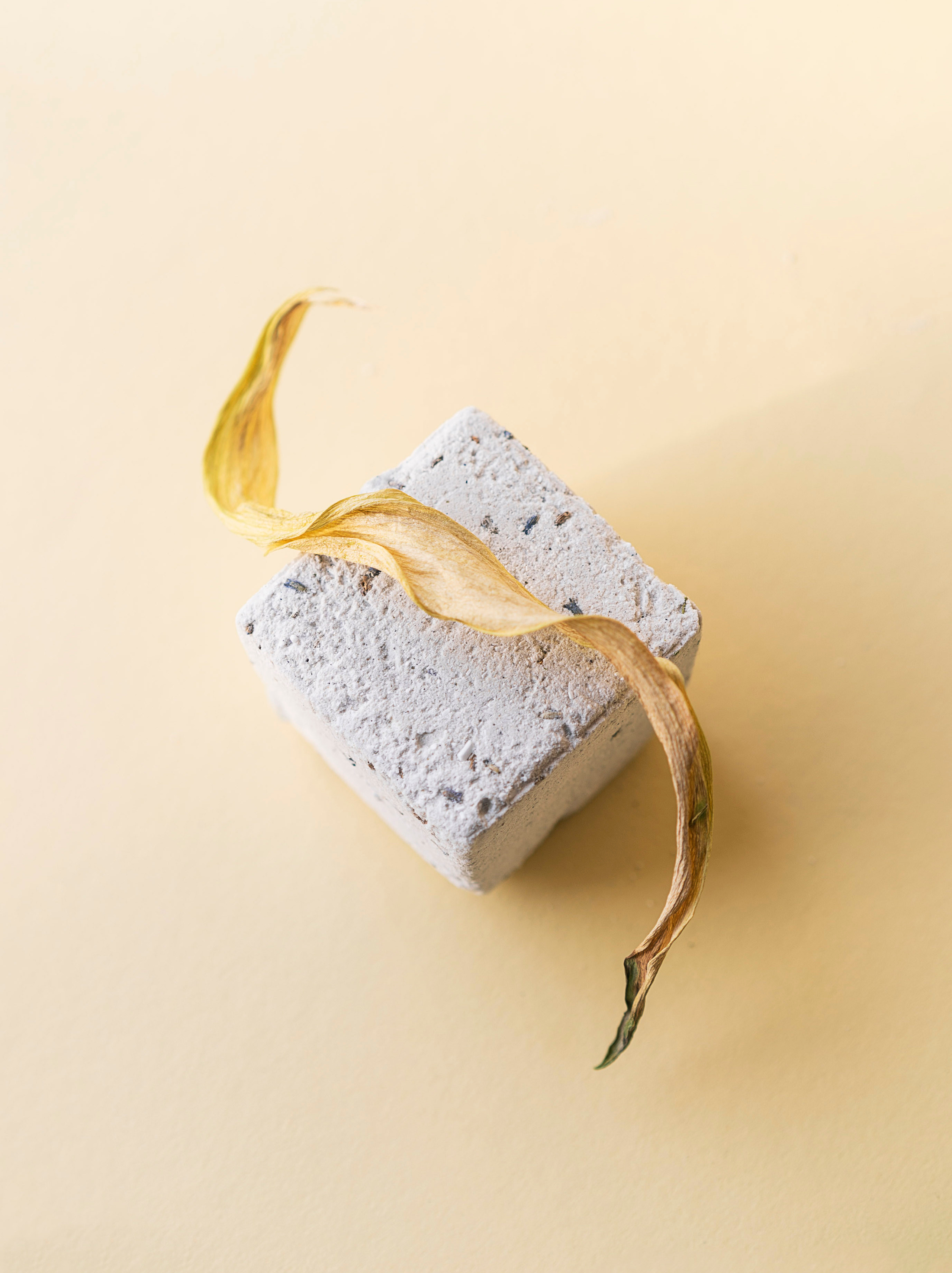 Сocoobird || Атмосфера твоего бренда в снимках и видео