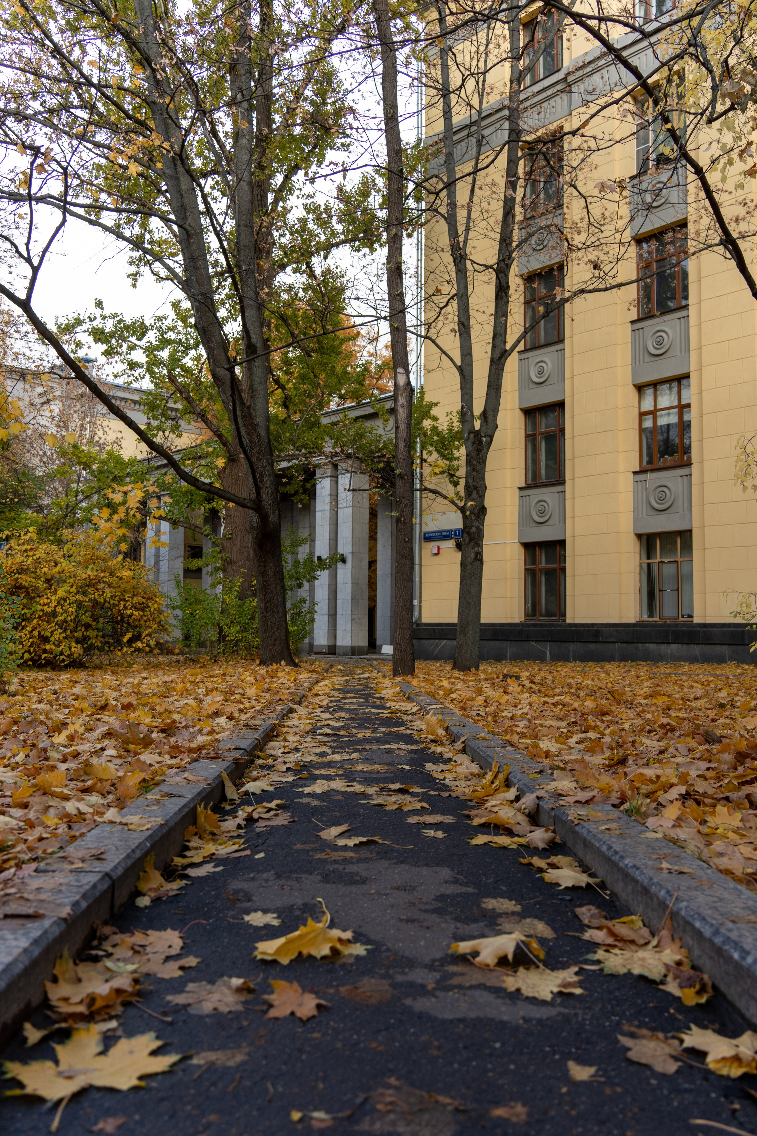 20251012 МГУ. Дмитрий Ремизов. Фотография, как хобби