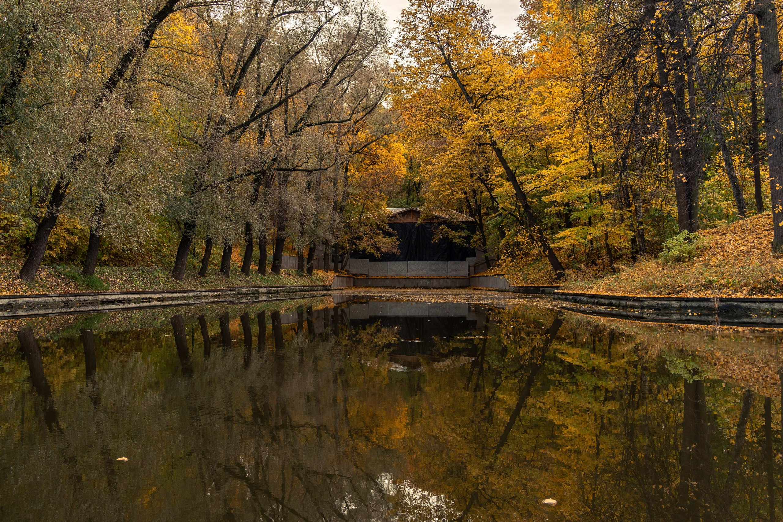 20251011 Нескучный сад. Дмитрий Ремизов. Фотография, как хобби
