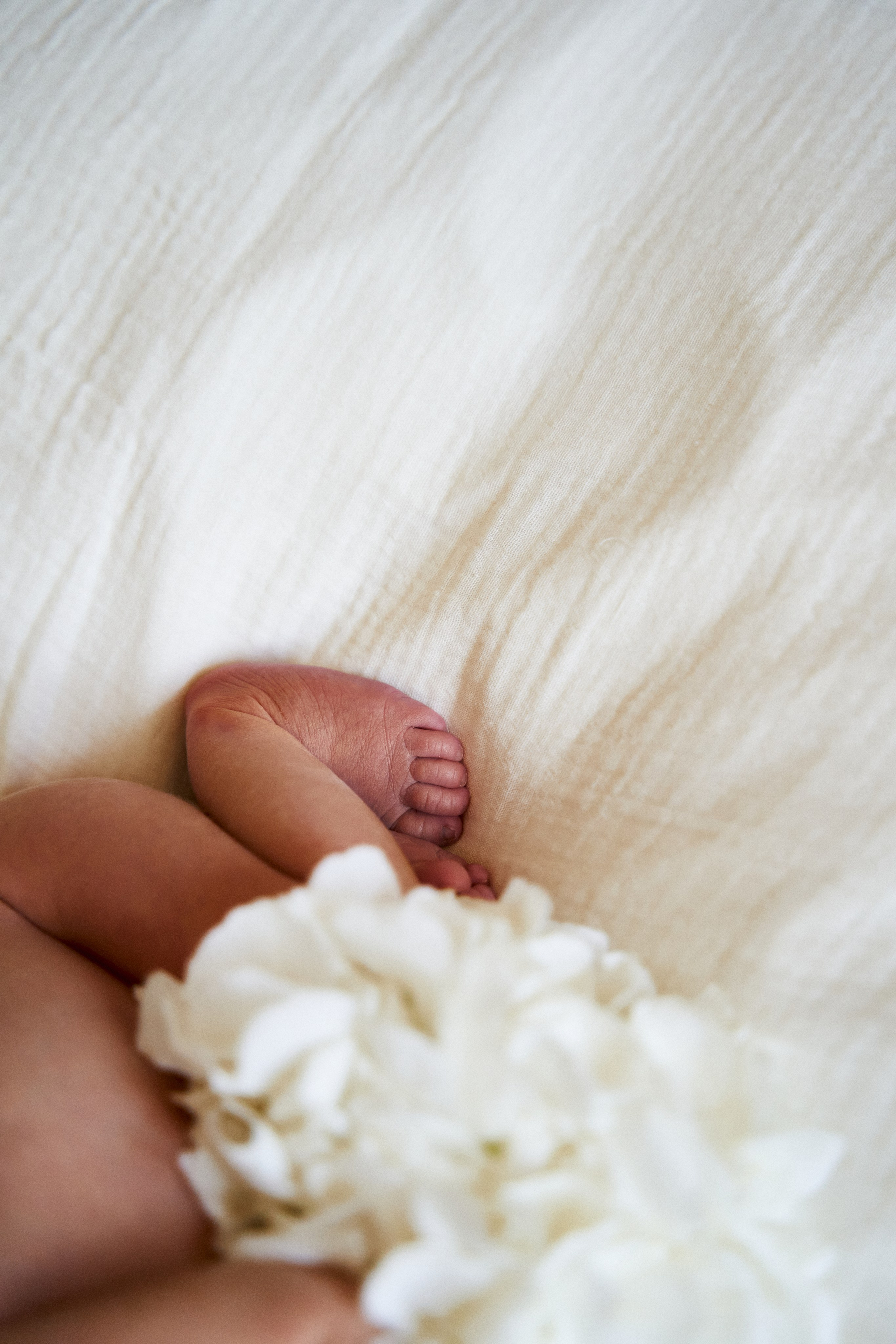 Семейная. Семейный фотограф в городе Надым Наталья Жигунова