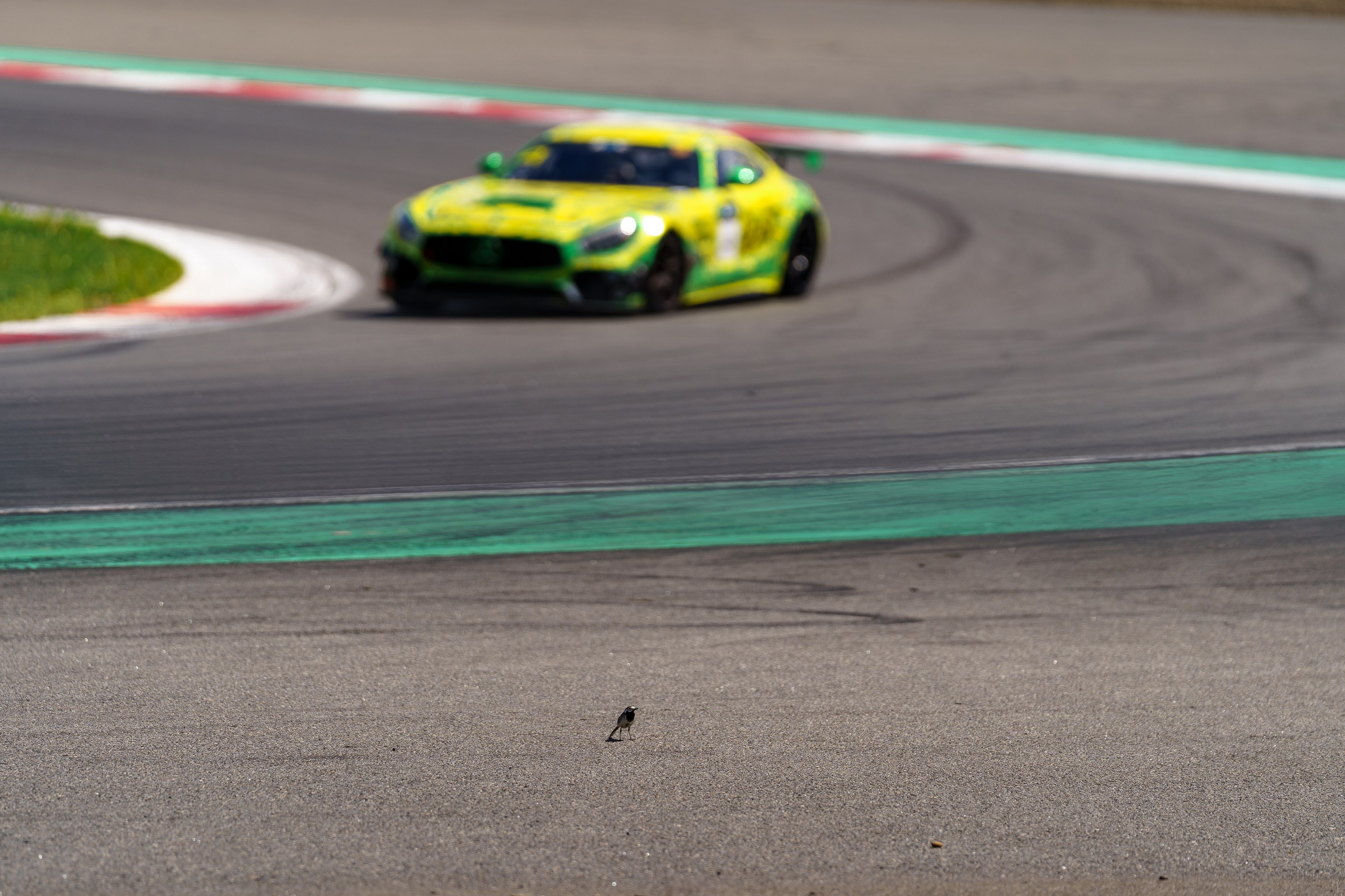 2024 REC 2 этап. Фотограф Николай Прокофьев модельные тесты в Москве