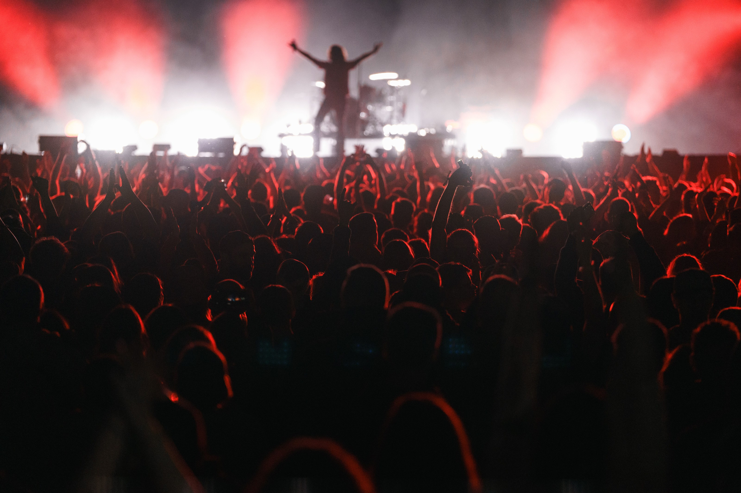 2023 Дикая Мята. Фотограф Николай Прокофьев модельные тесты в Москве