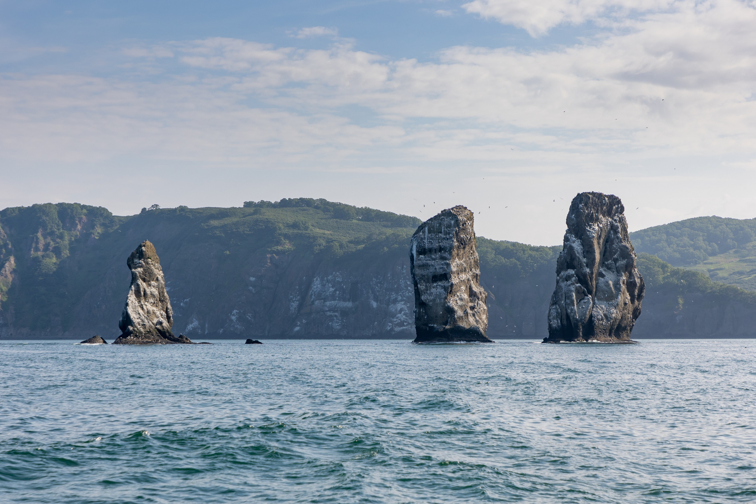 Крабовое сафари + мыс Маячный. Время Камчатки: чтобы найти свой путь, нужно скорость умножить на время