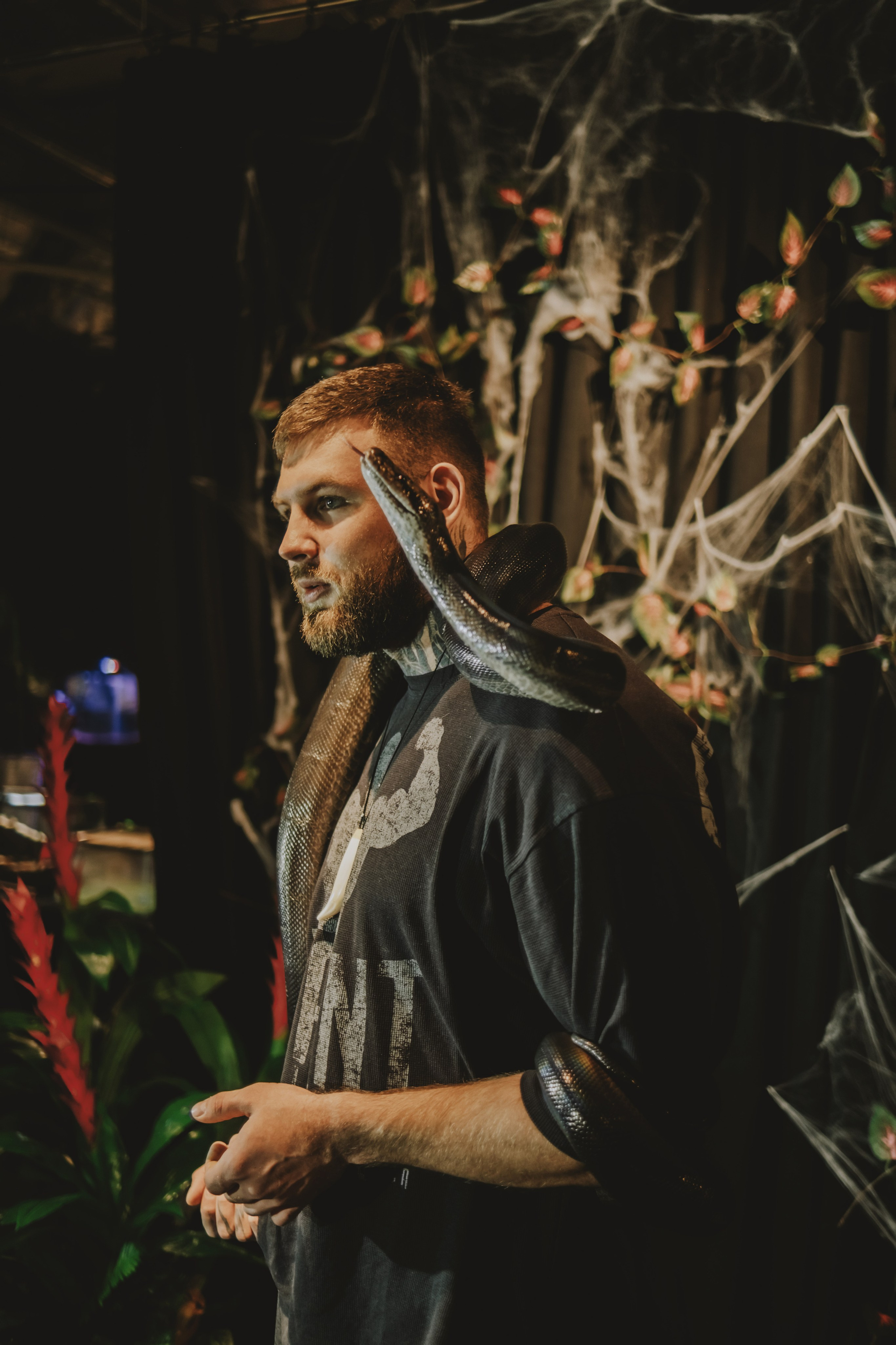 Дом Драконов. Nattie.ph