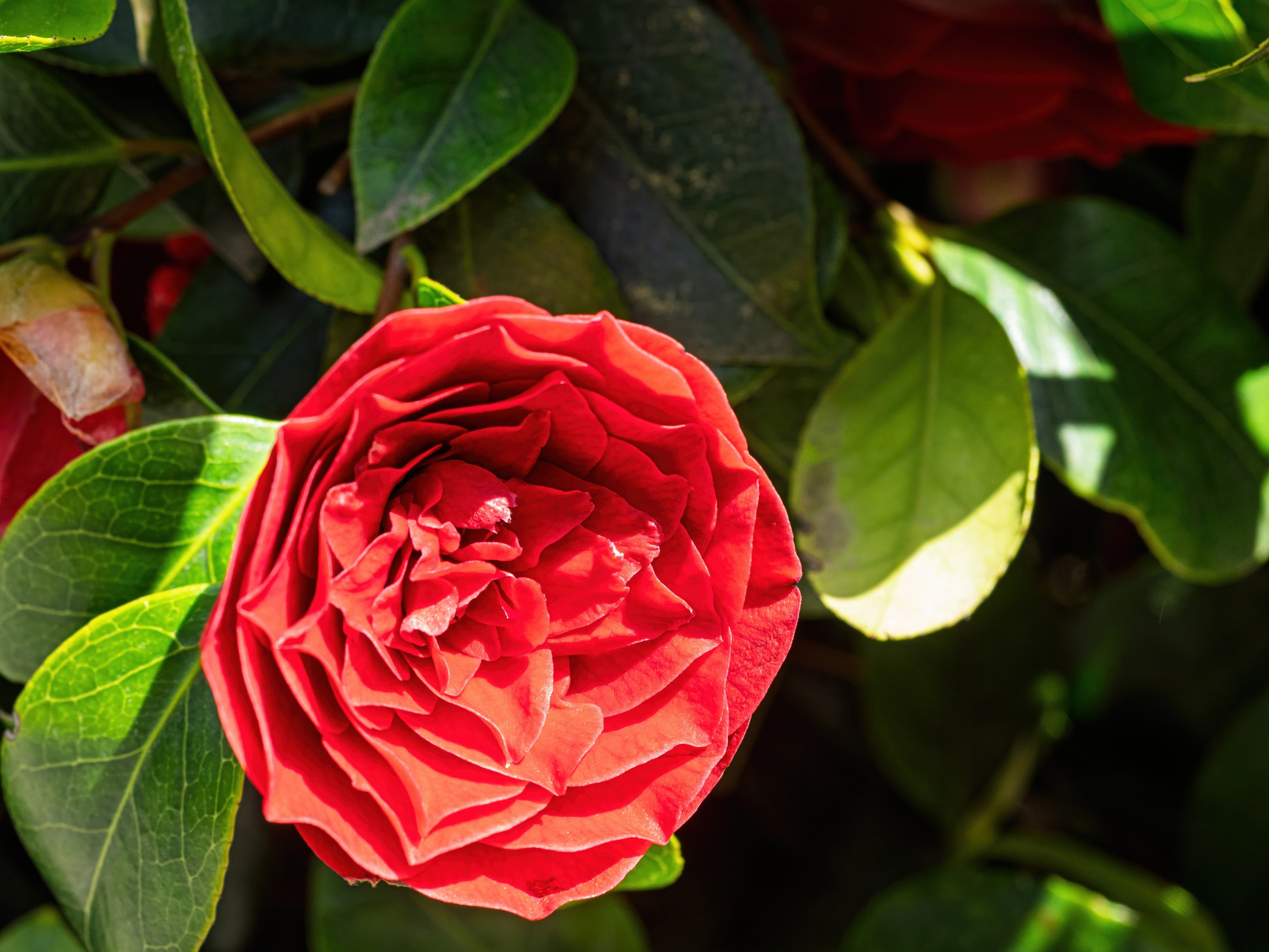 Крым, Утес, 2021 год. Фотограф Никифоров-Гордеев Сергей. Москва и МО