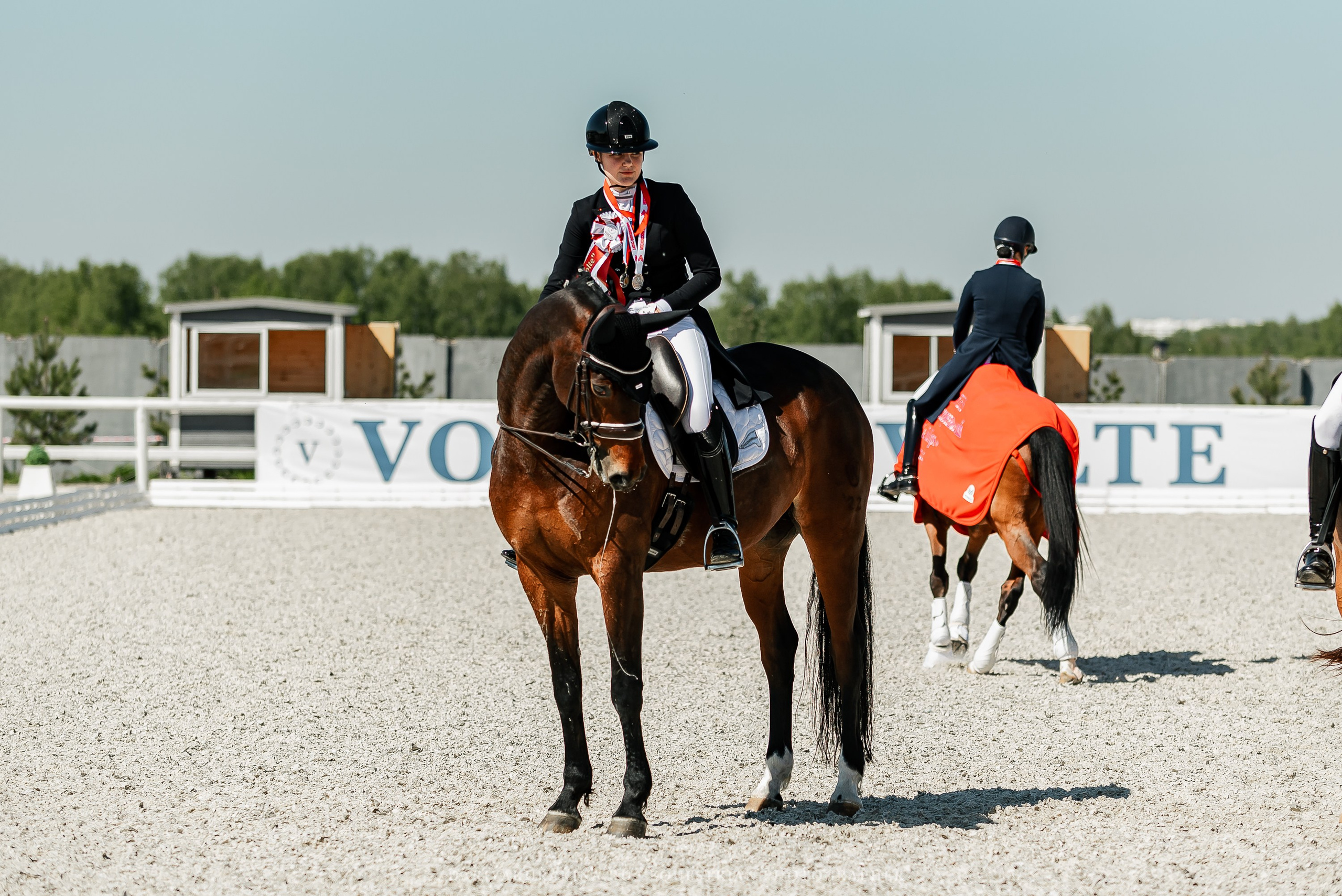 РЕПОРТАЖ МКК ВОЛЬТ «LA TULIPS». Конный фотограф Куракина Дарья • Фотосессии с лошадьми