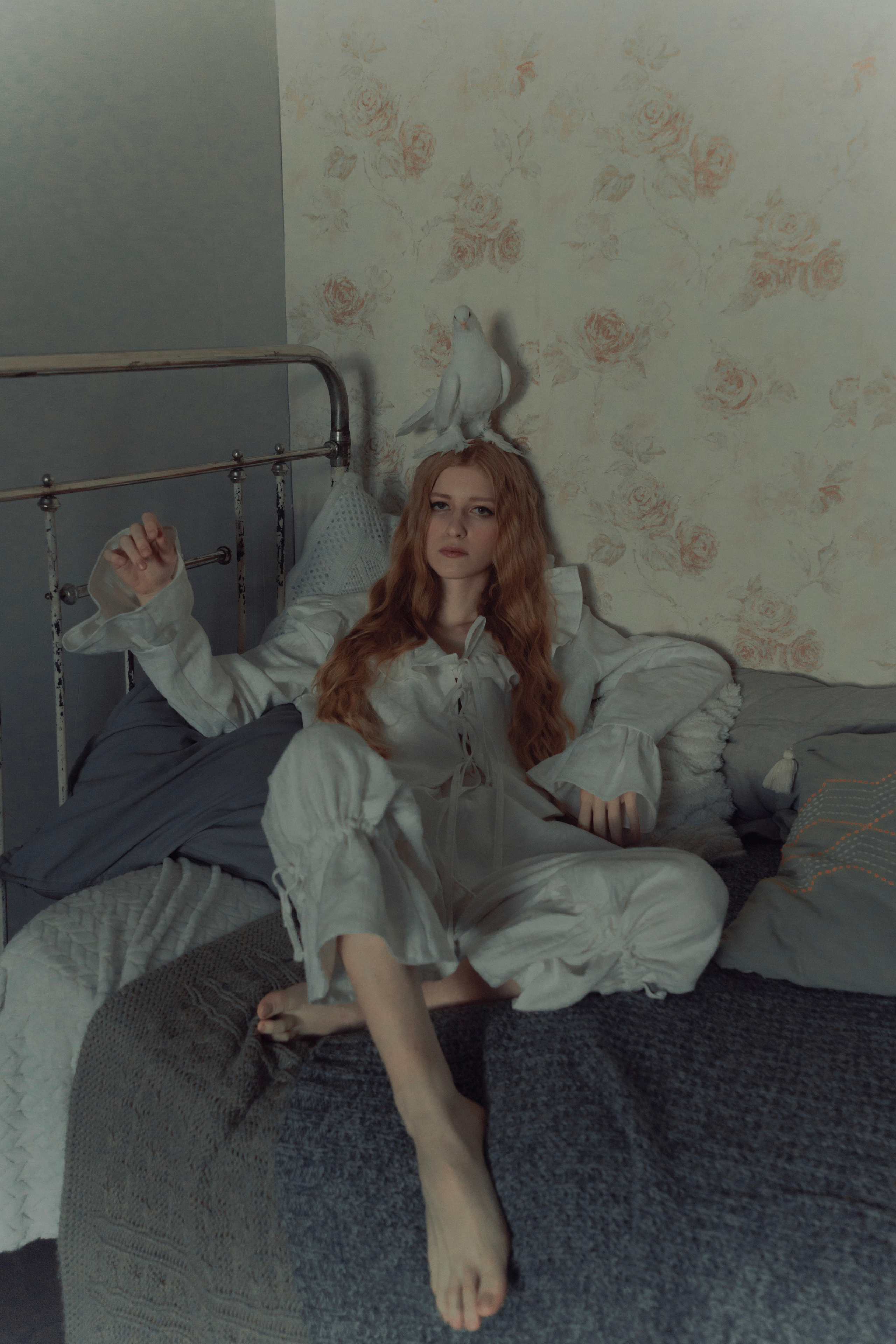 Голубь. Фотограф Anita Mivchas
