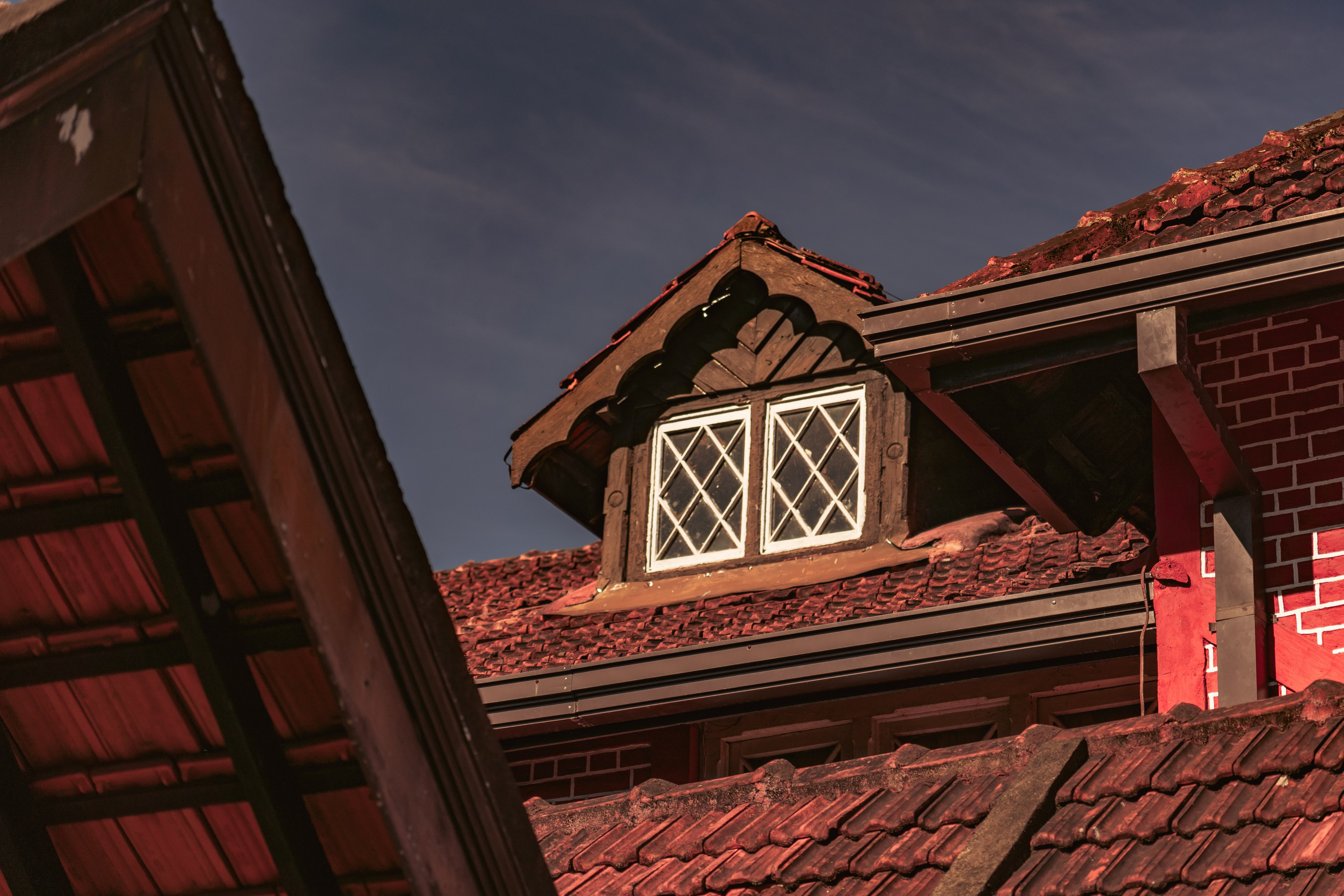 Promo content shooting for Ceylon Forward Tours