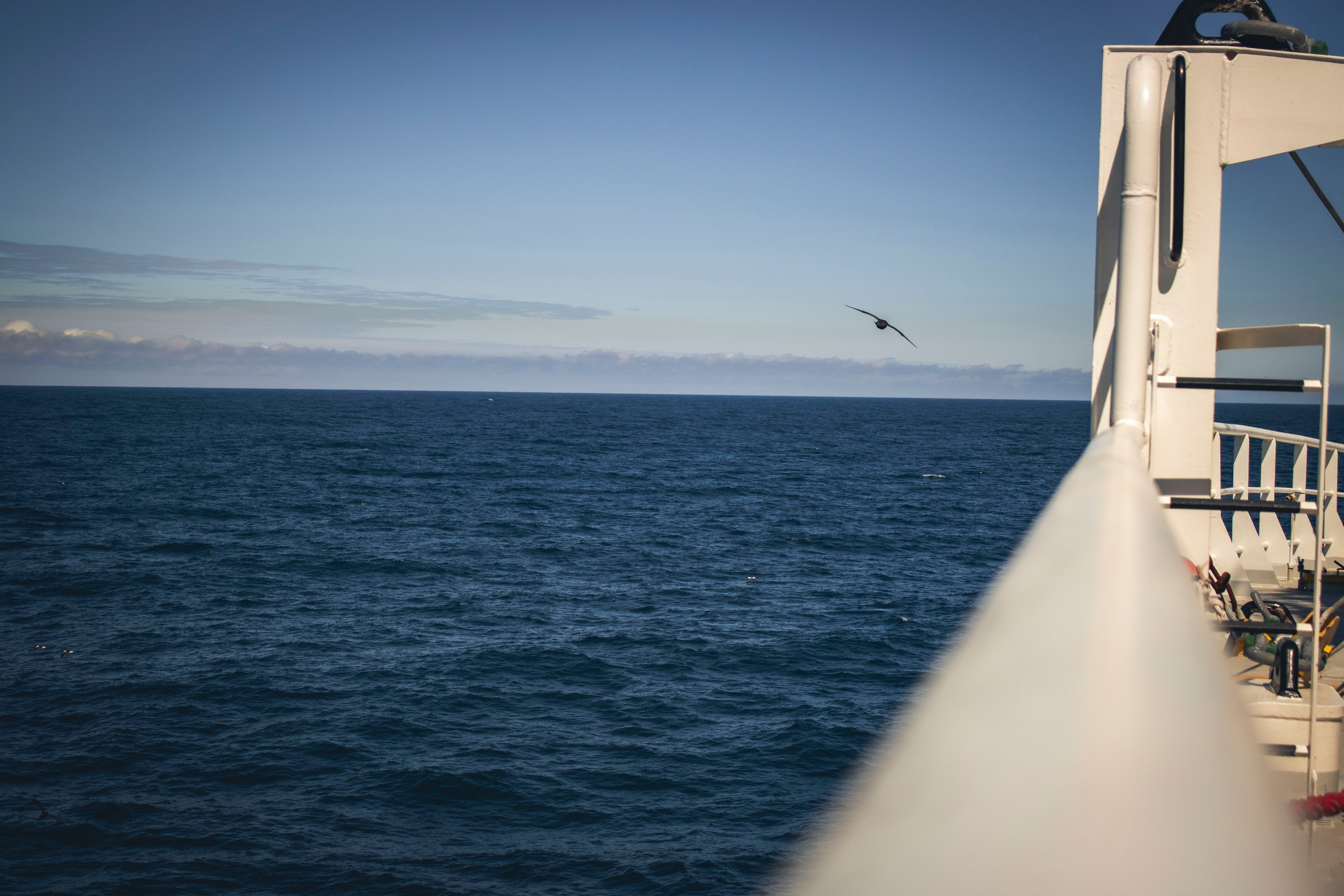 Когда я в море. Часть 1. Фотограф г. Владивосток