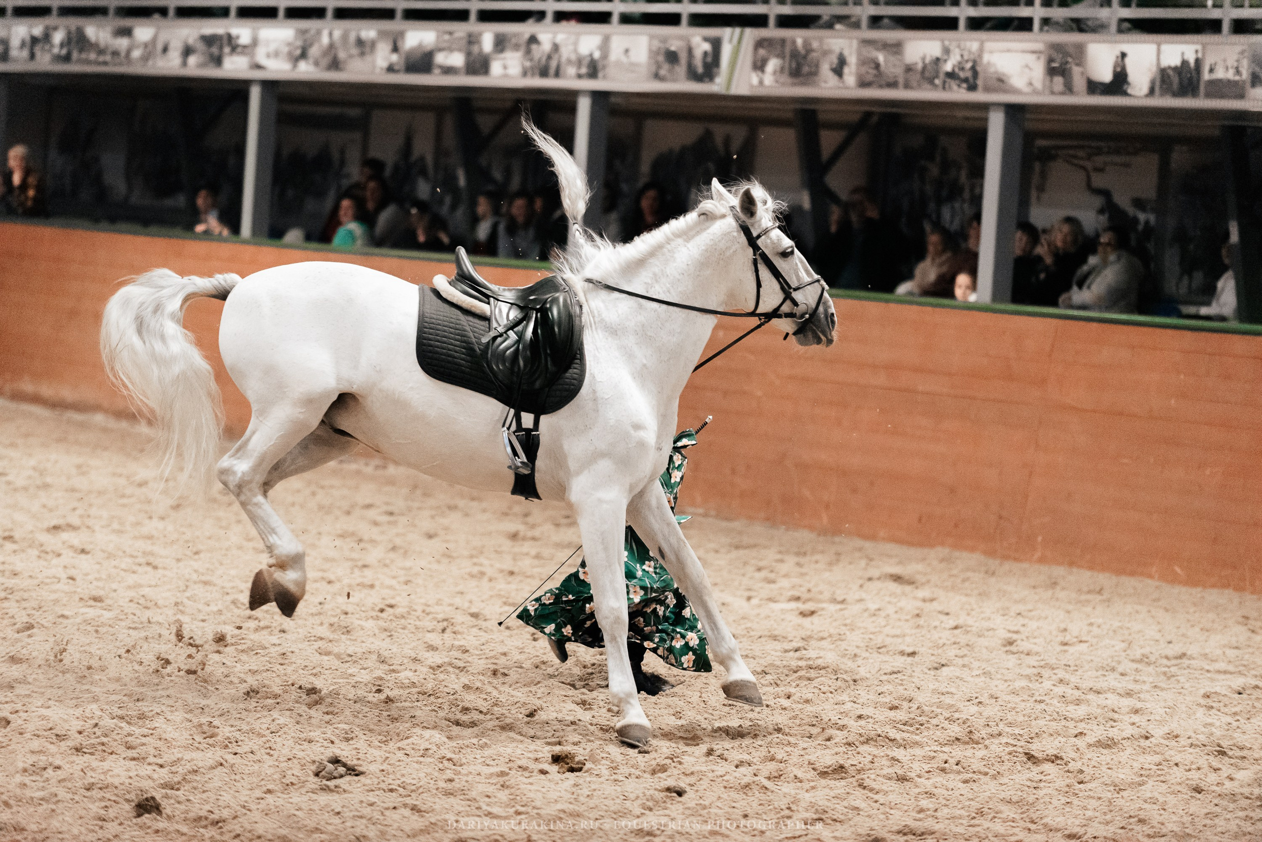 Конное представление «Дыхание Звёзд». Конный фотограф Куракина Дарья • Фотосессии с лошадьми