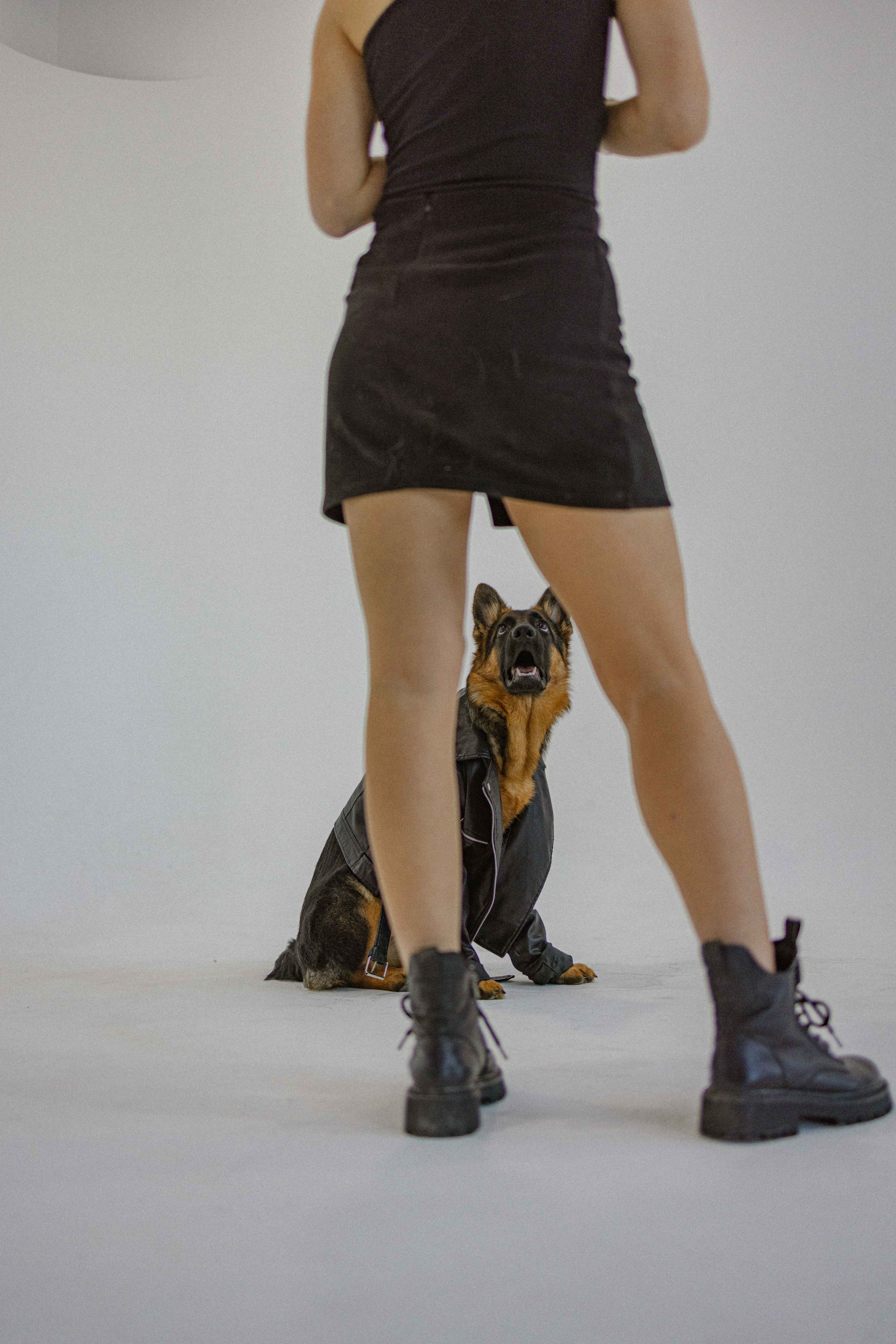 Ася и Буся. Фотограф-анималист в Москве Лера Черноног