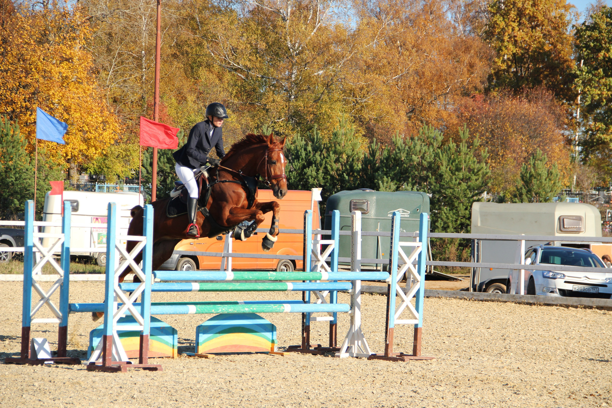 Соревнования. Фотосессии с лошадьми в Москве и МО