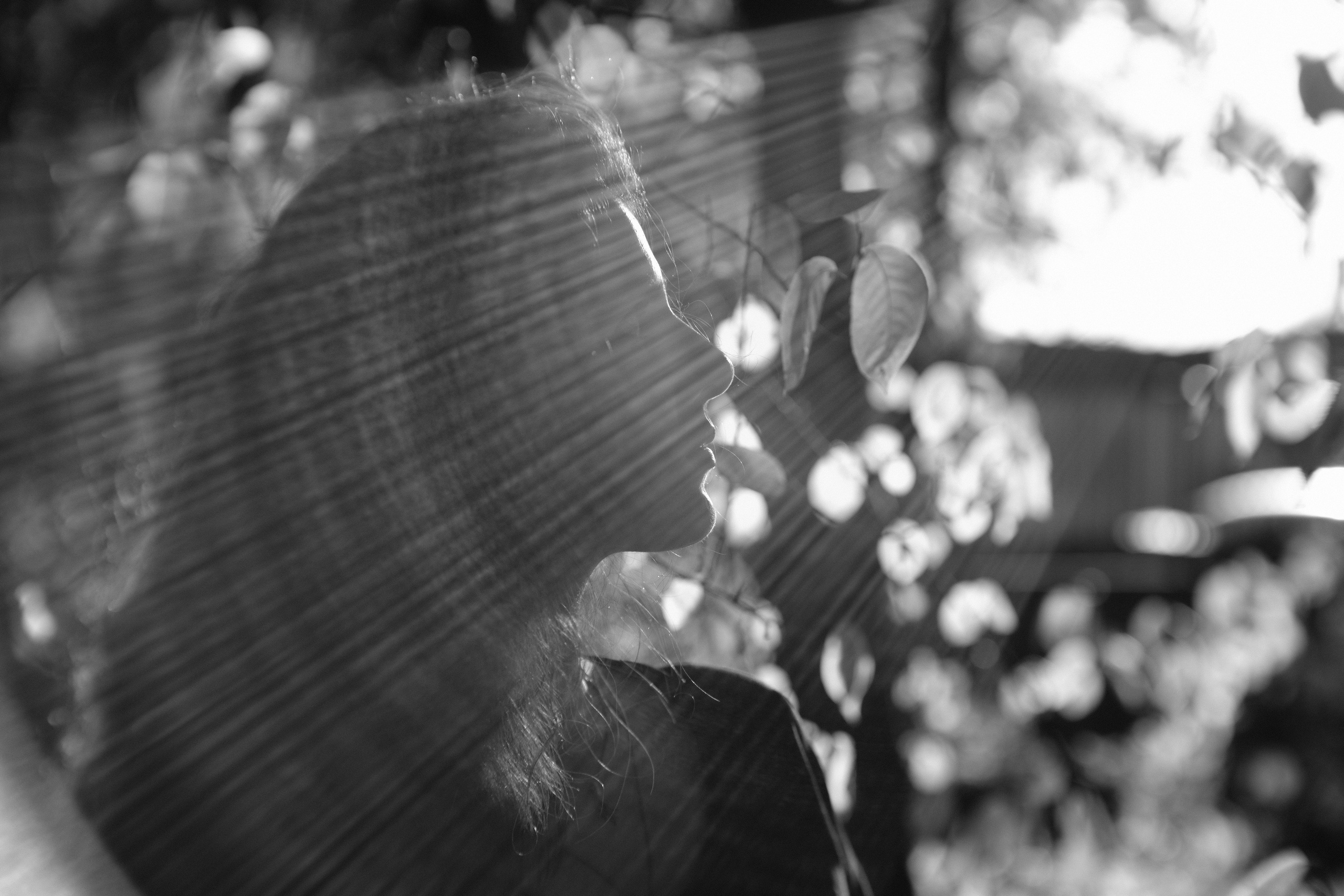 НА ВОЛШЕБНЫЙ ОБЪЕКТИВ