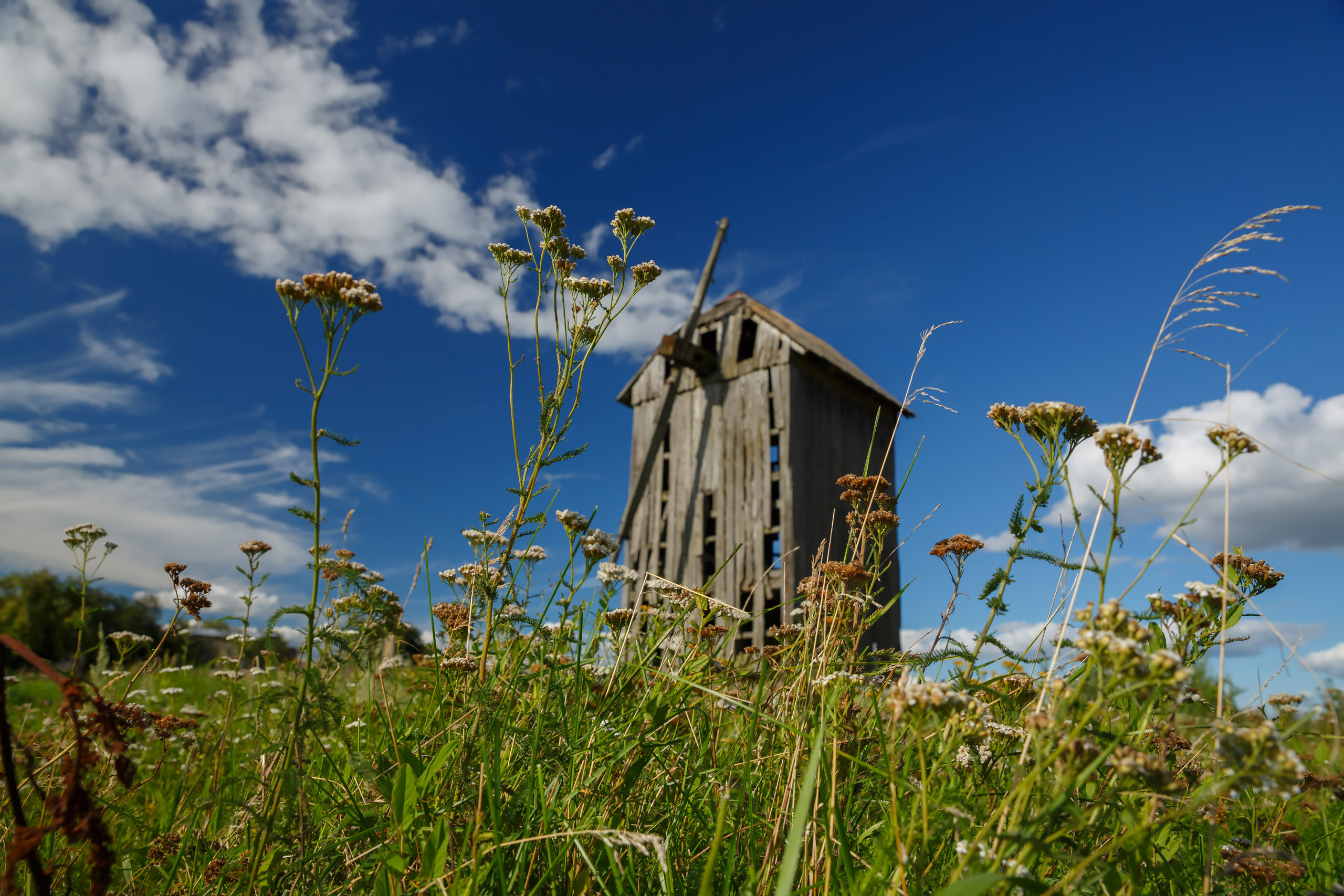 15 августа 2015 г.