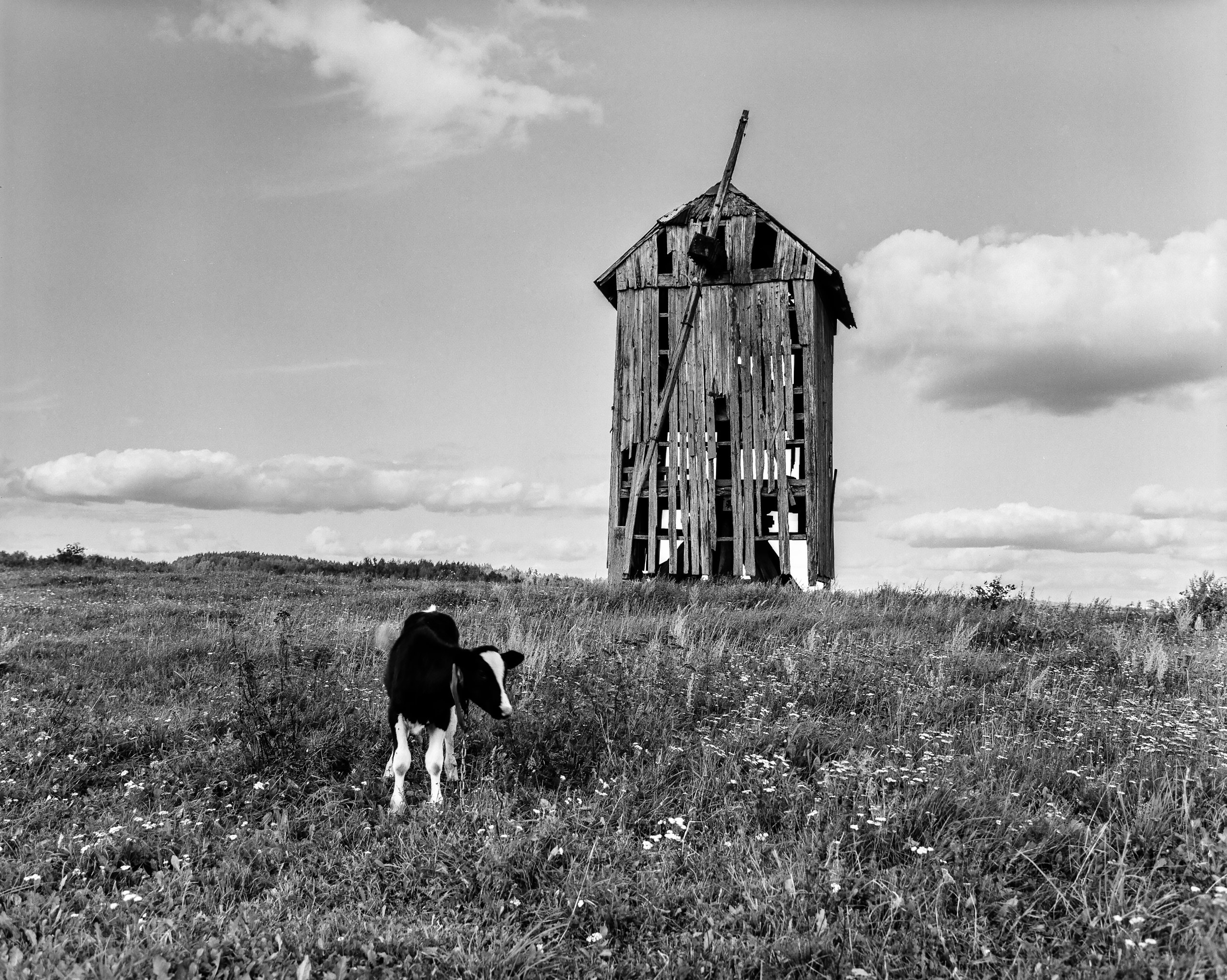 Заброшенная мельница в д. Солтаны. Фотограф Евгений Стельмах в Молодечно и Минске