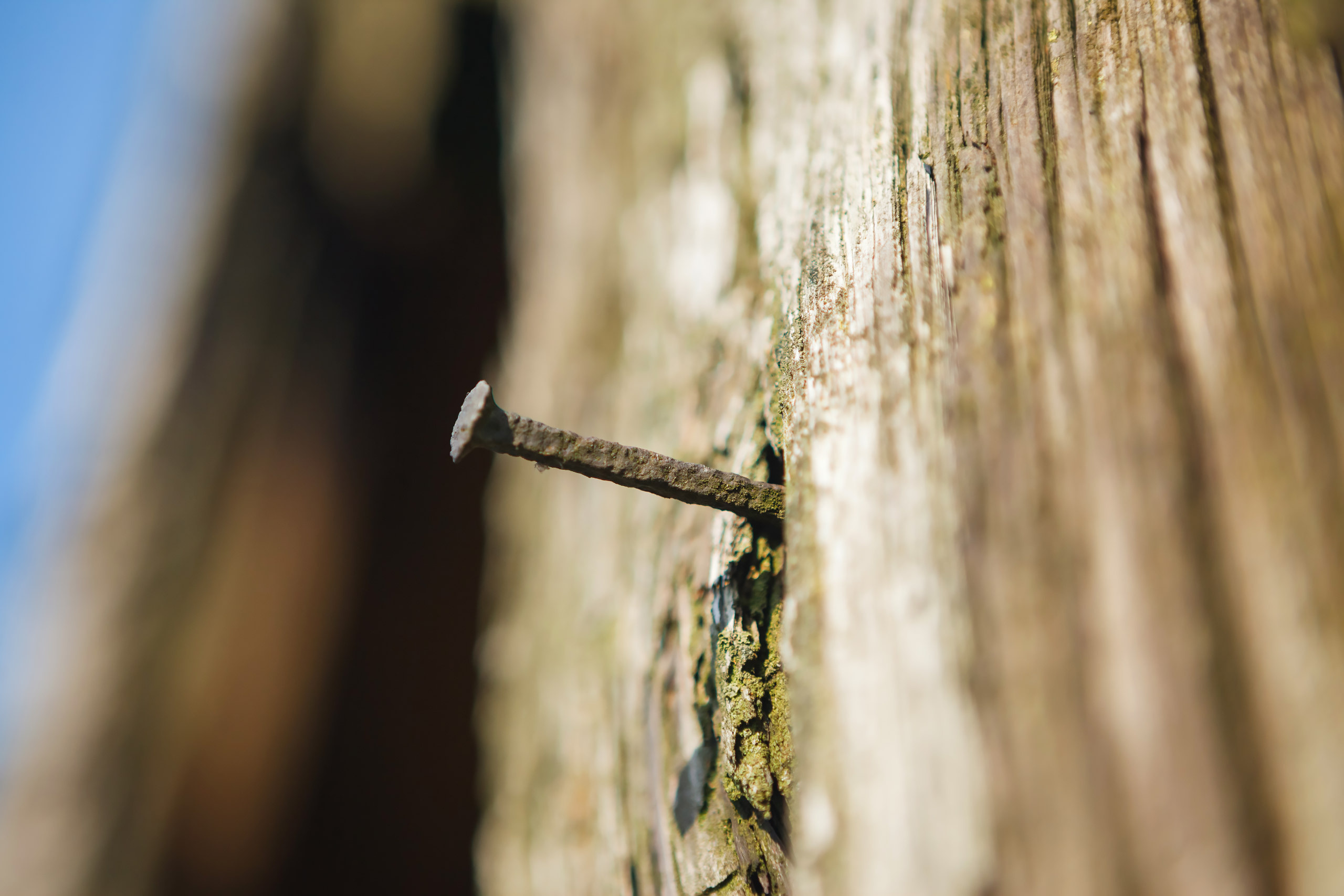 Кованный гвоздь...