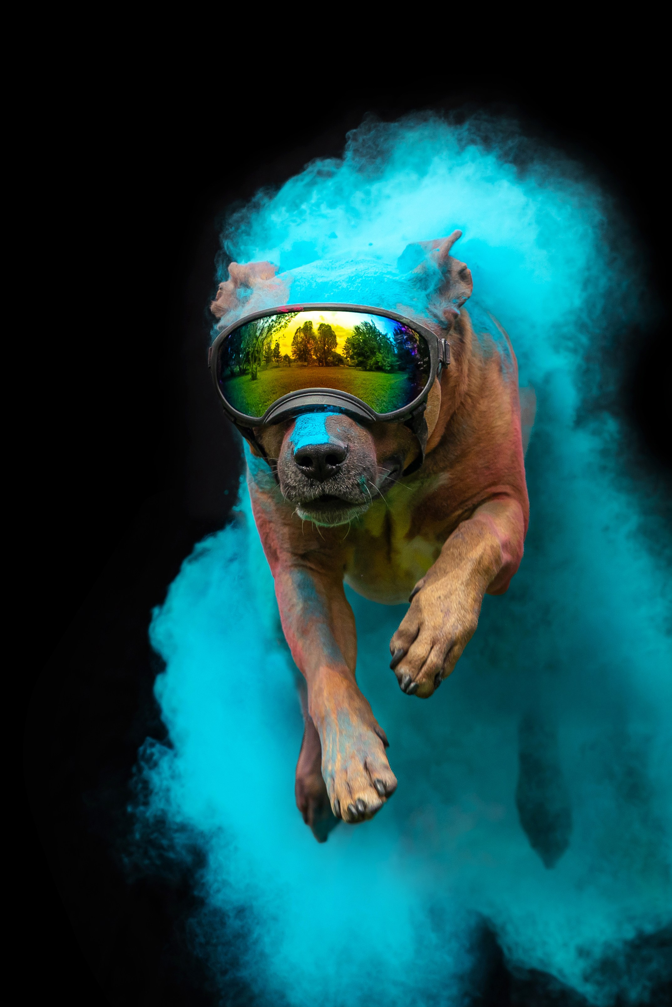 Батлер и Кэти