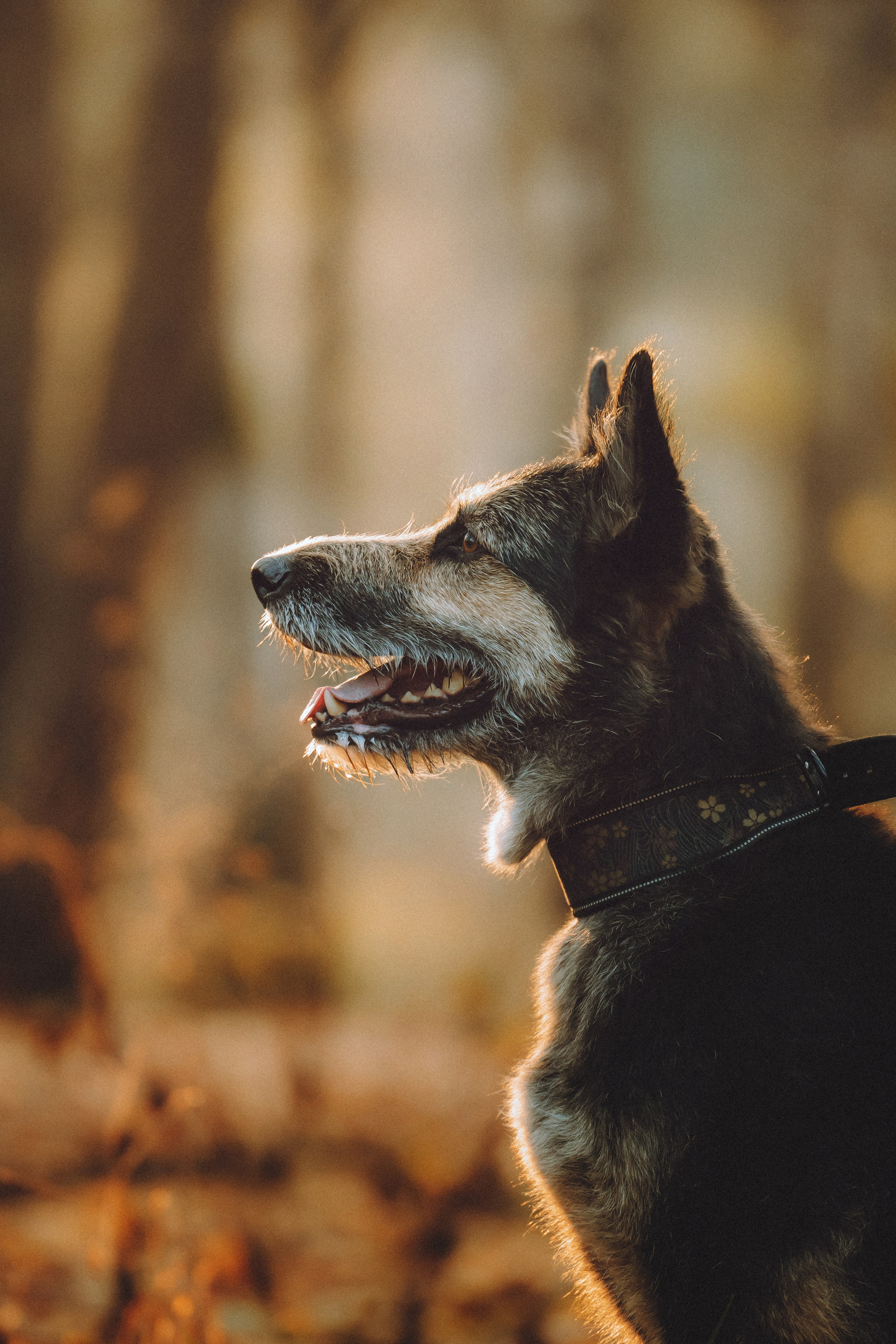 Рик, Джек и их семья