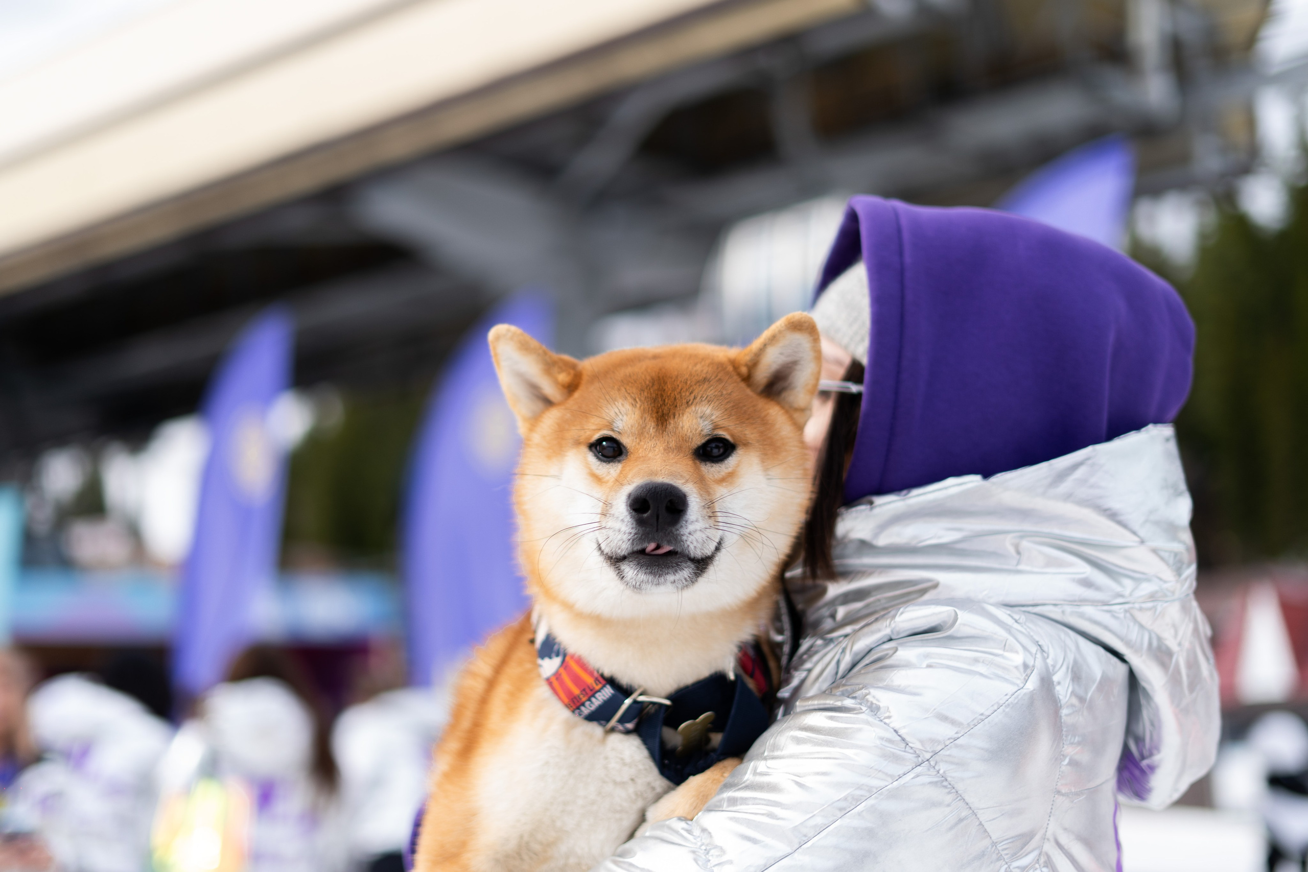 Грелка 18.04.24. Анастасия Паршукова — фотограф Шерегеш Новосибирск