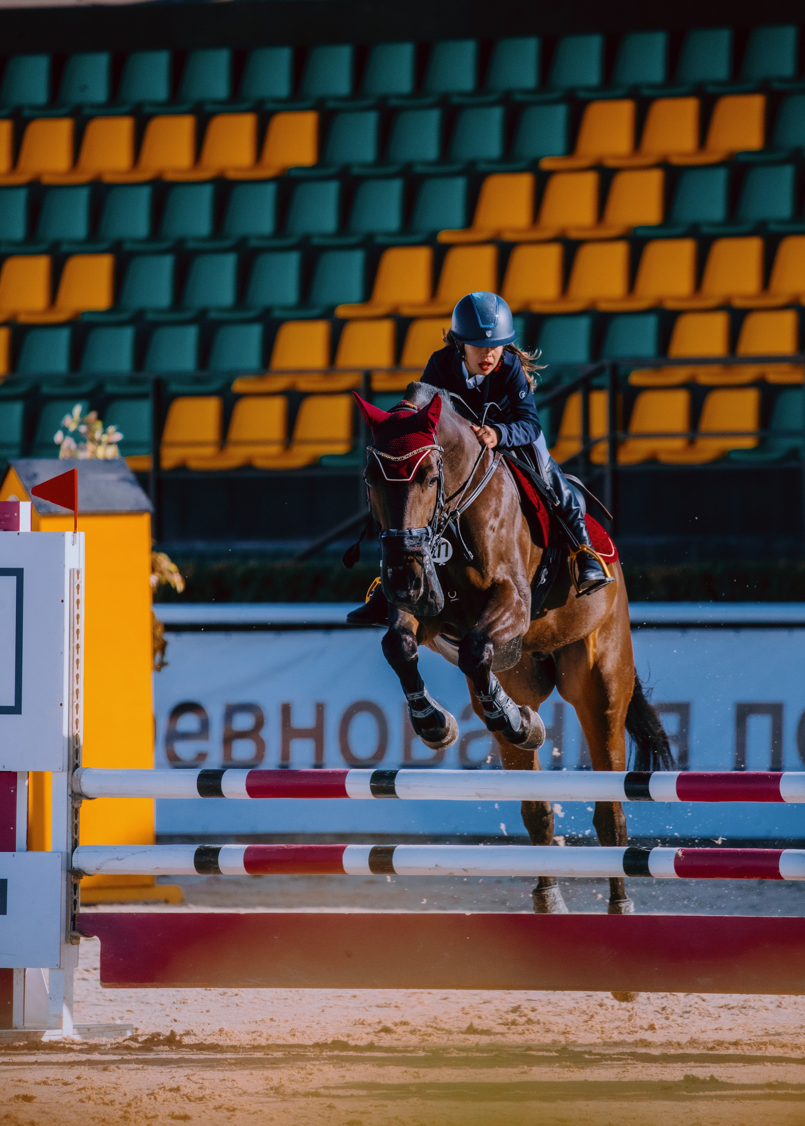 Отзывы. Фотограф-анималист Ксендзова Кристина