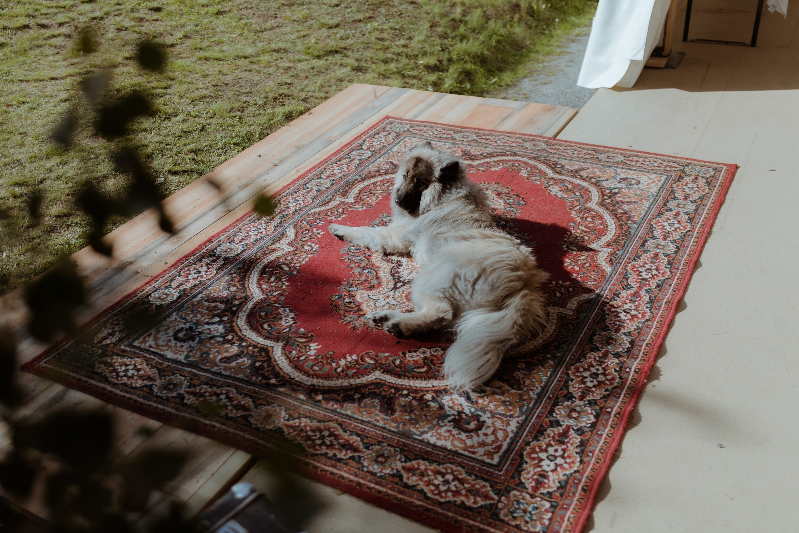 Vilje — Amalie. Elopement Wedding Photographer