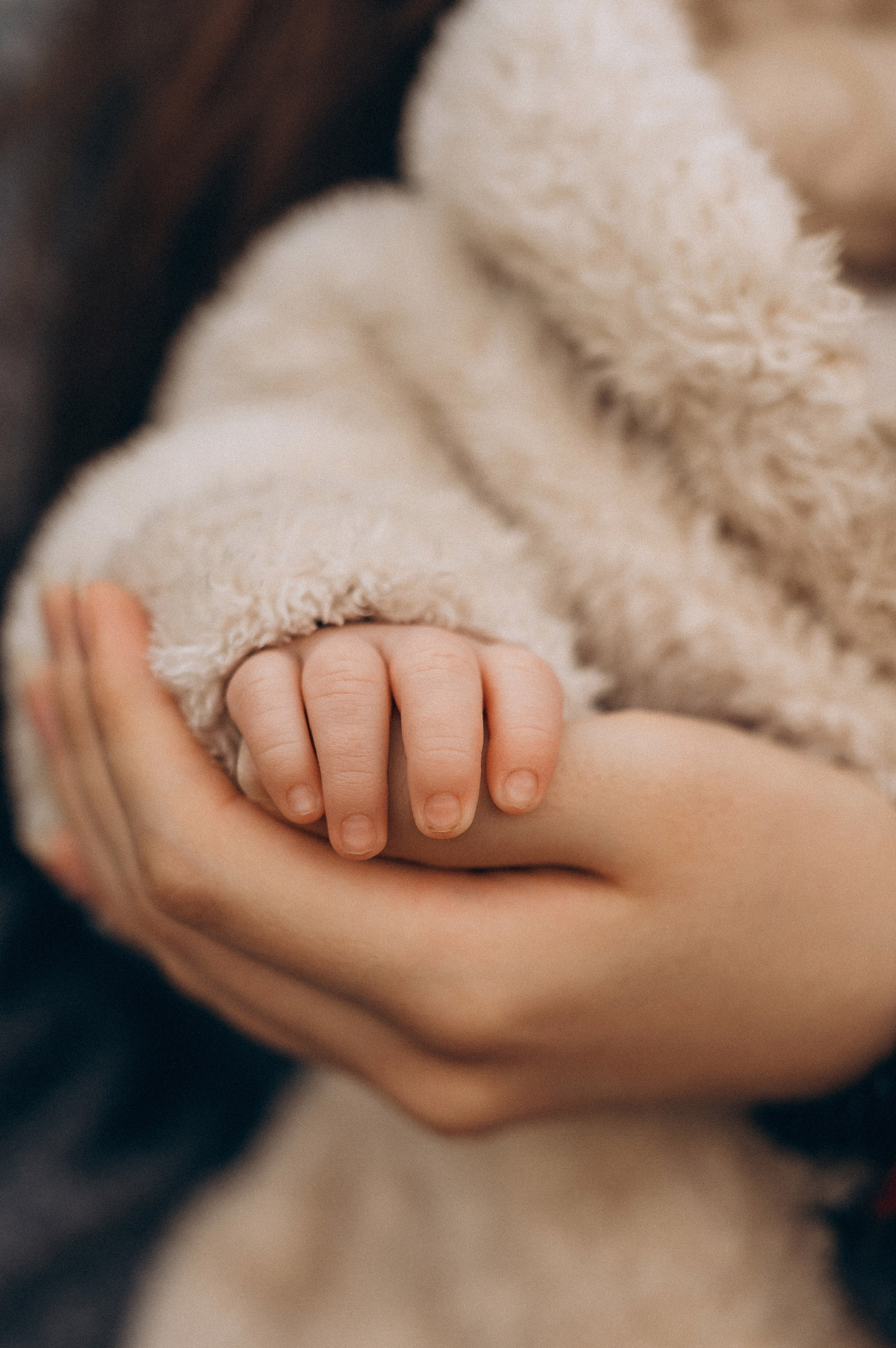 Диана, Илья и Давид. Семейный и свадебный фотограф в Красноярске Садкеева Юлия