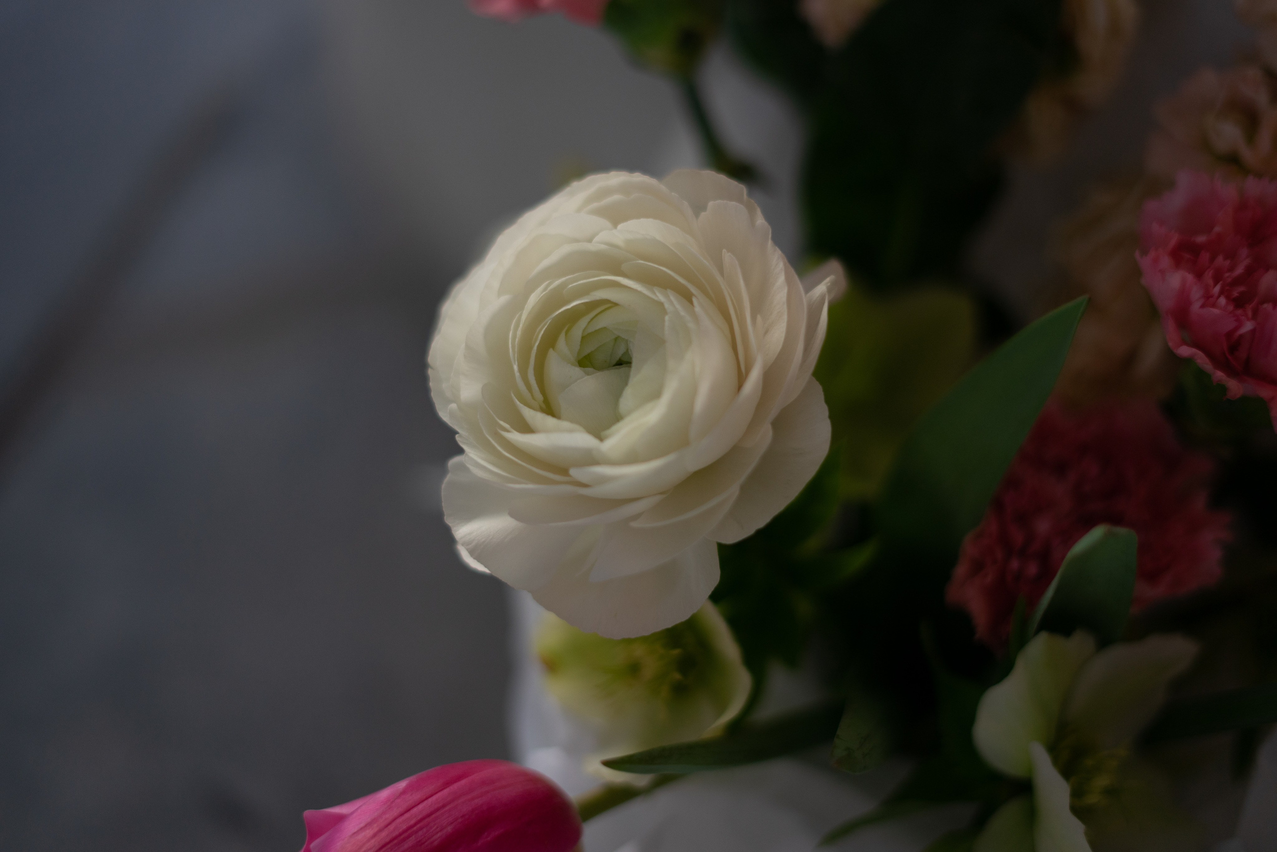 MC from a florist. Портретный и семейный фотограф в Мариуполе, РФ. Даша Жогло