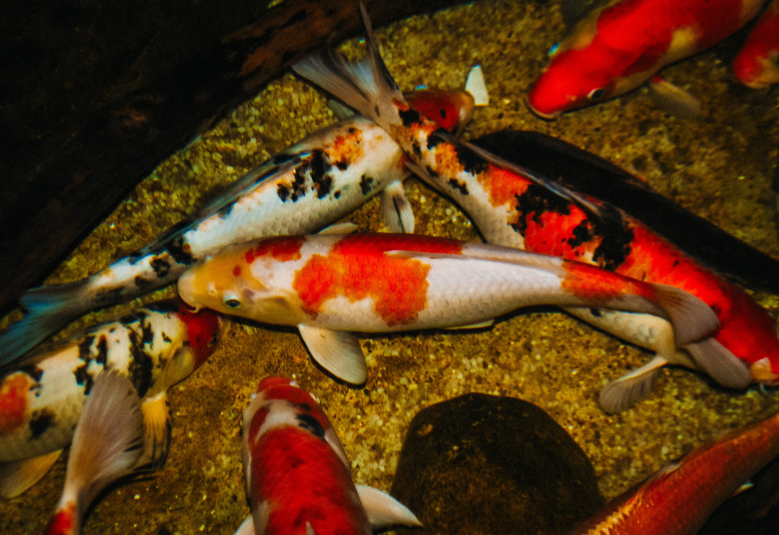 Аквапарк. Портретный фотограф DanilNabody