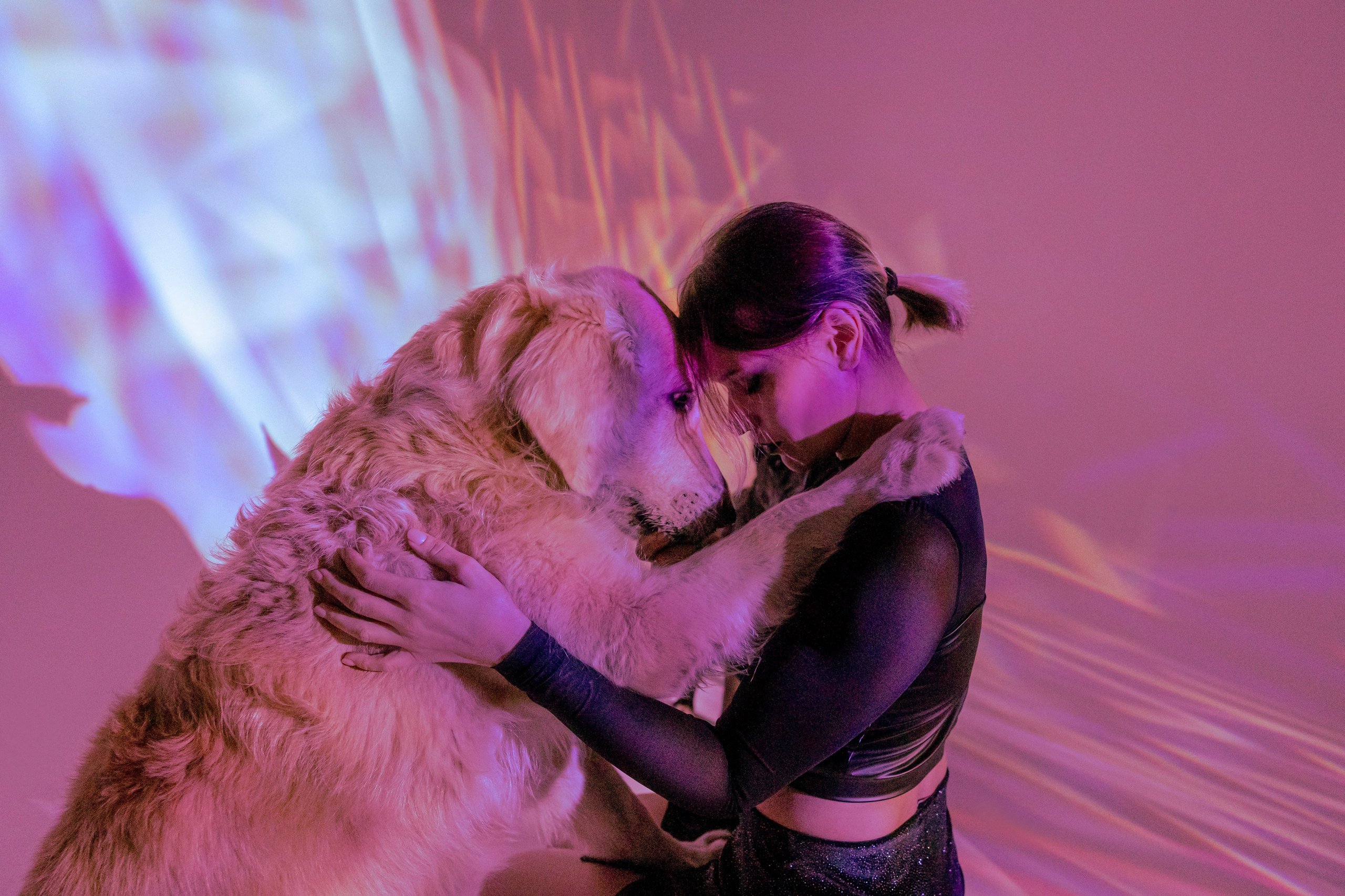 Съемка в студии с собакой. Анастасия Белаш