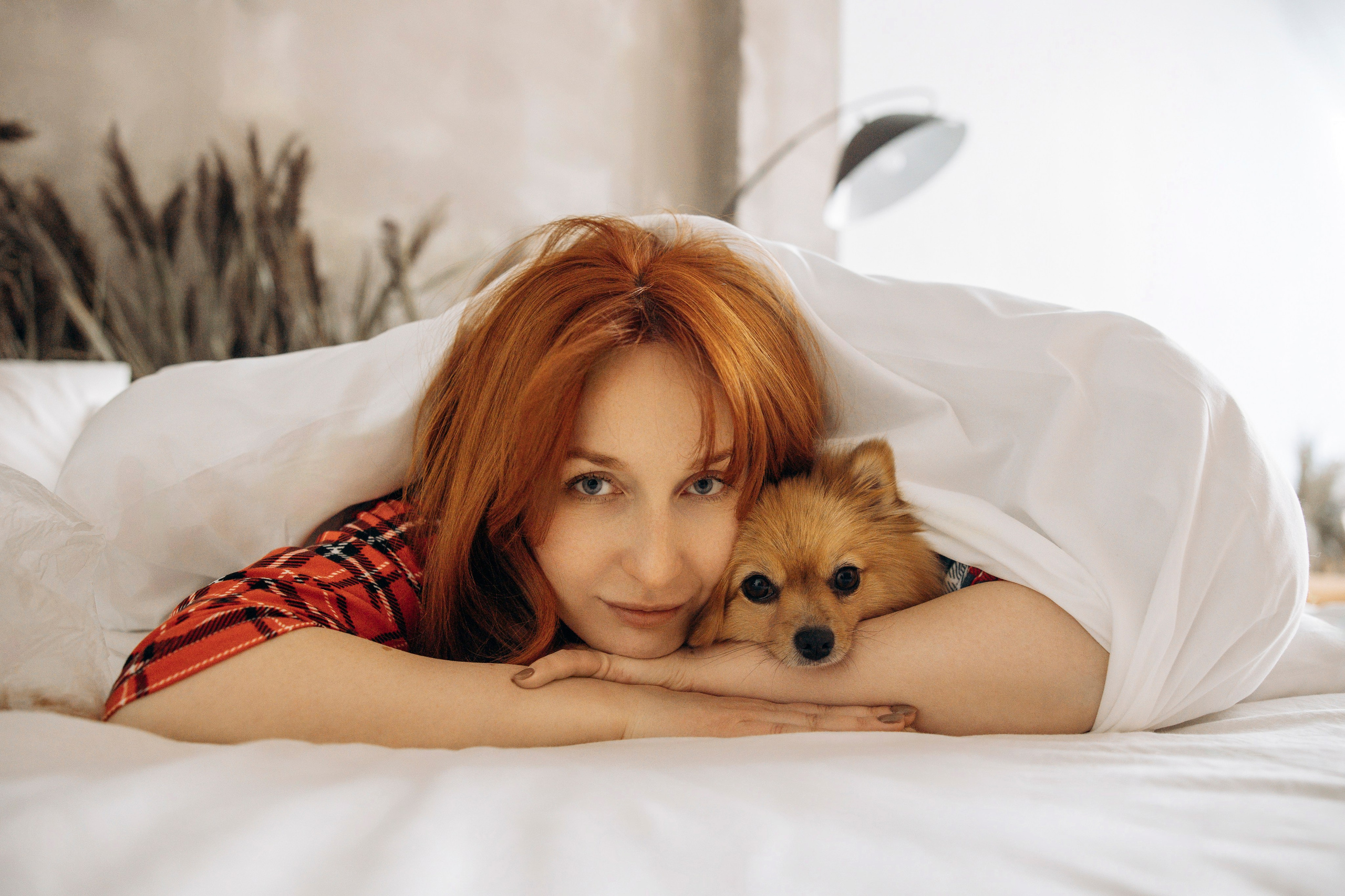 Съемка в студии с собакой. Анастасия Белаш