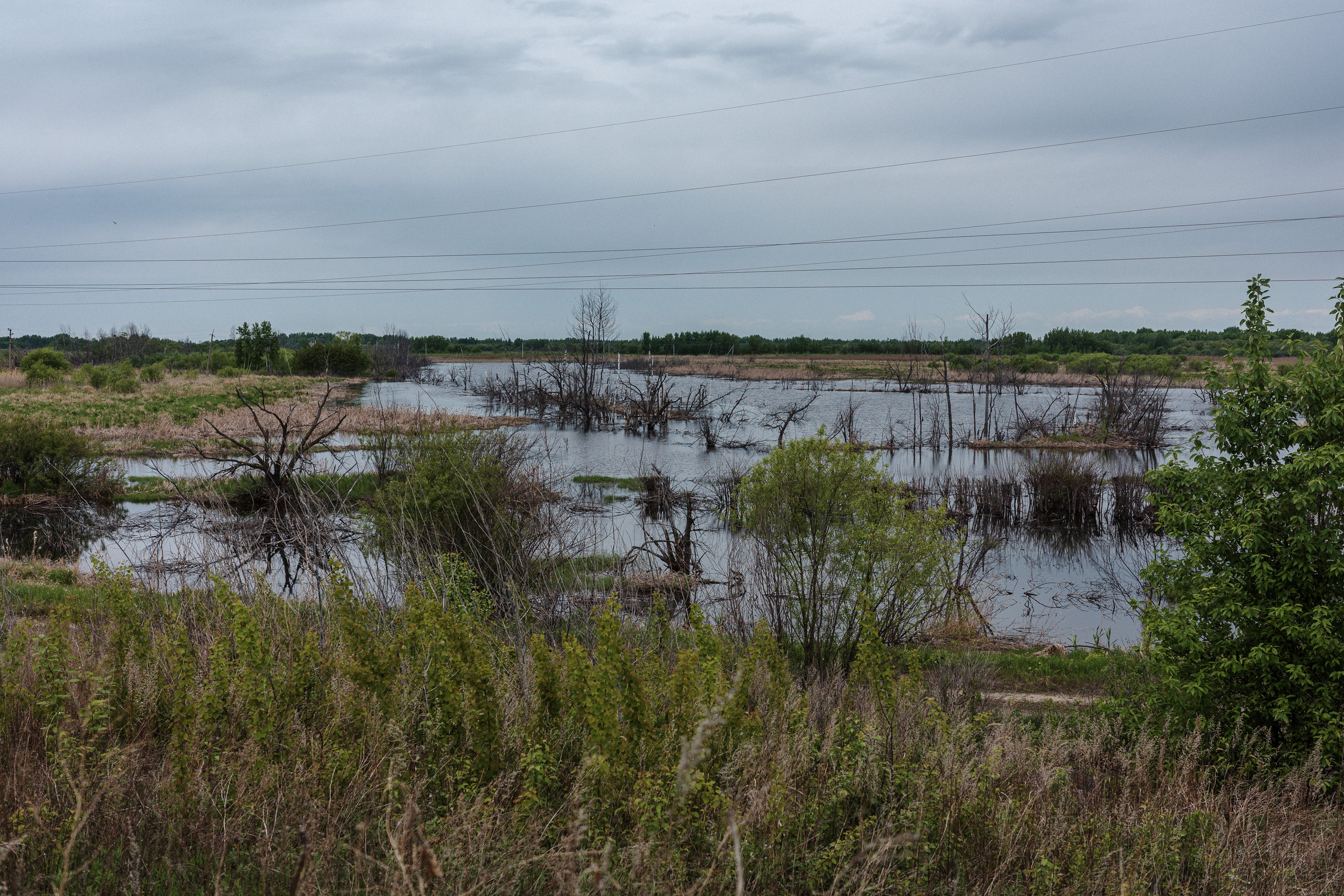 С Димой Уссурийский остров. Фото журналист