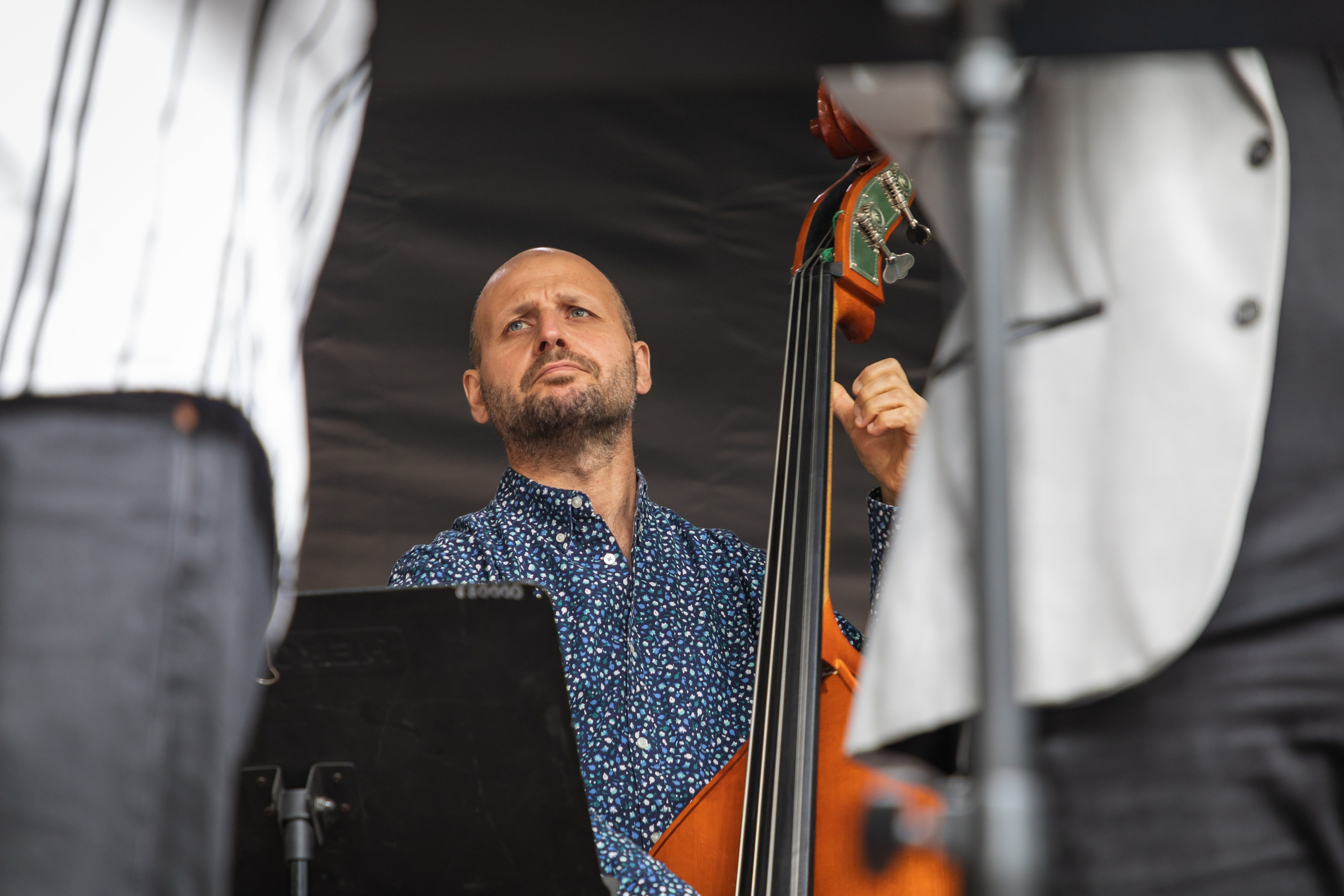 Эвер Джаз. Главная