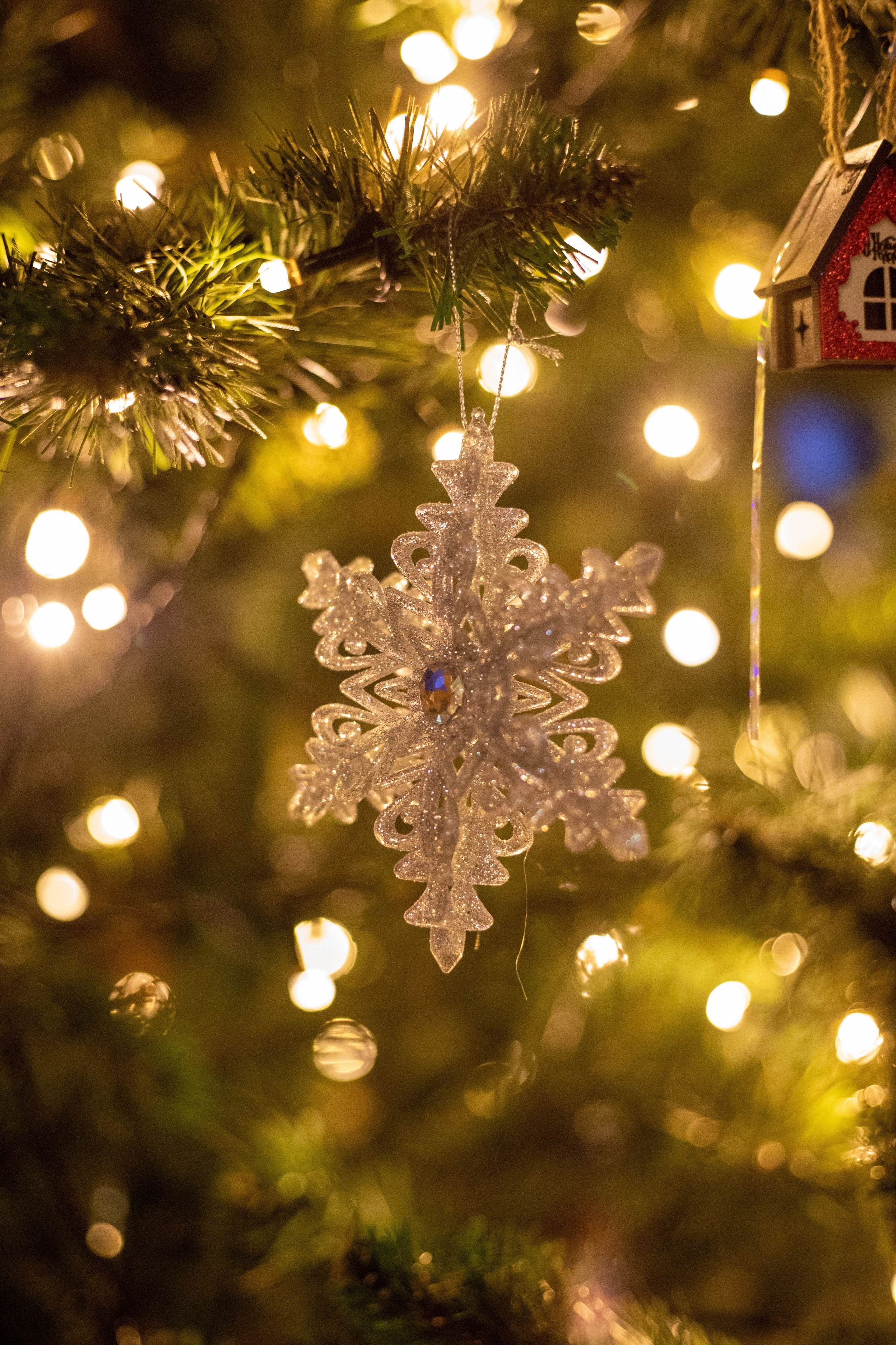 Отзывы. Фотограф — Анастасия Хохлачева