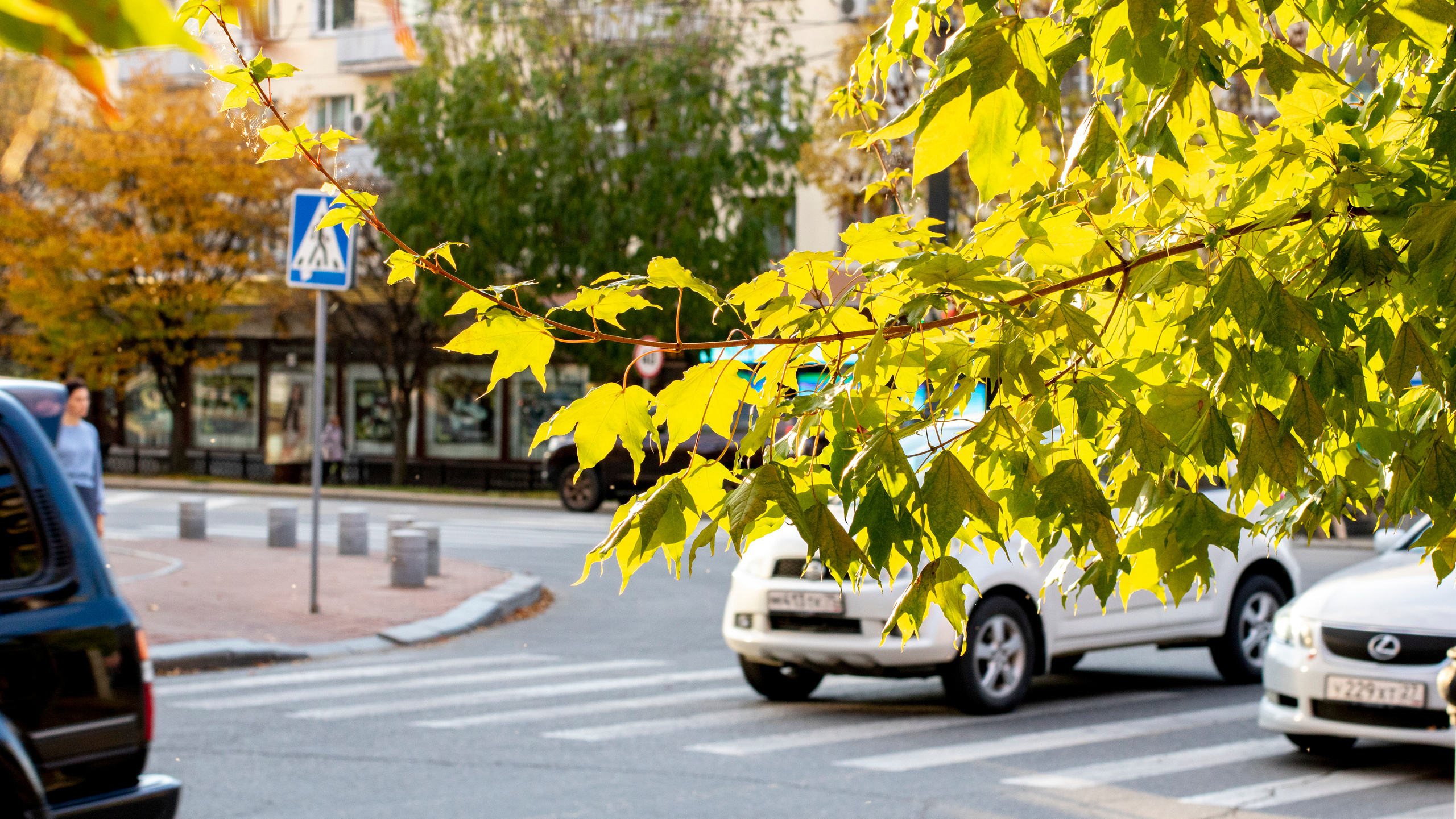 Стрит-фото. Семейный и детский фотограф в Хабаровске Алевтина Проскурякова