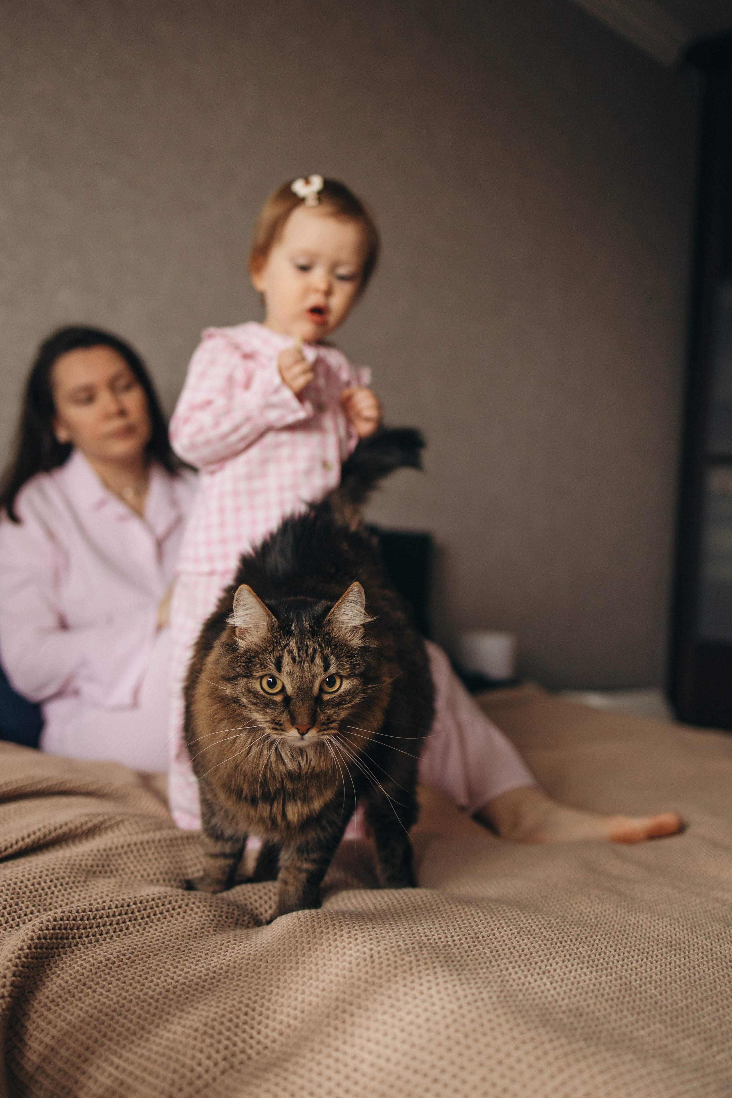 Два годика Вере. Семейный фотограф Москва Наталия Осьмакова