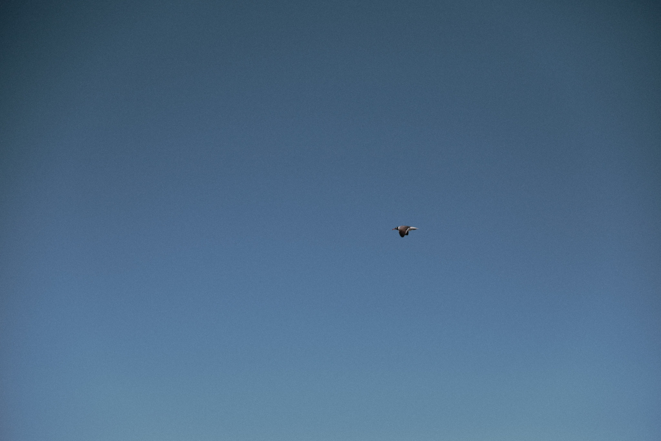 Улица горизонтальная. Jorgis — фотограф в Хургаде / обучение фотографии